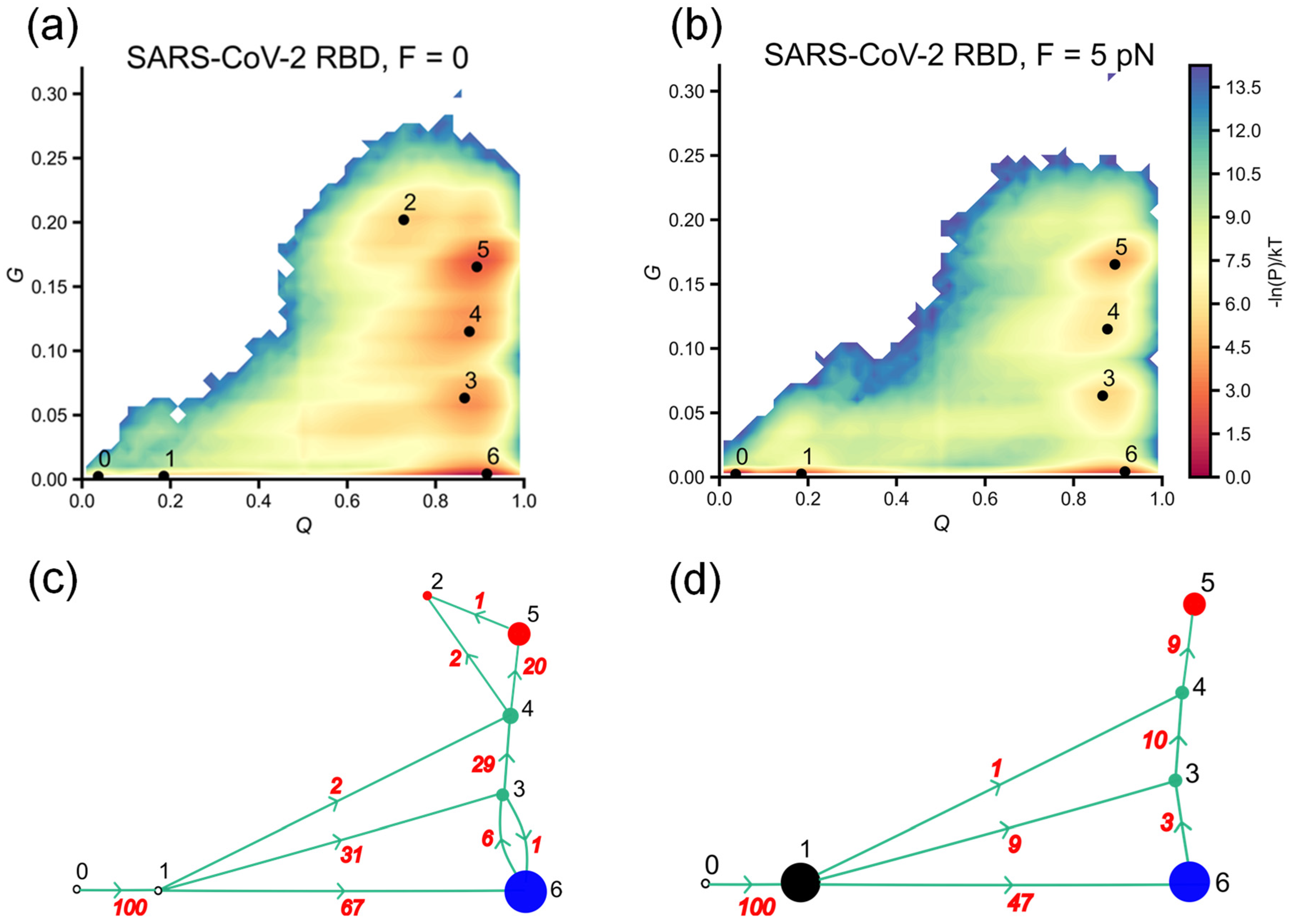 Biomolecules 14 01327 g005