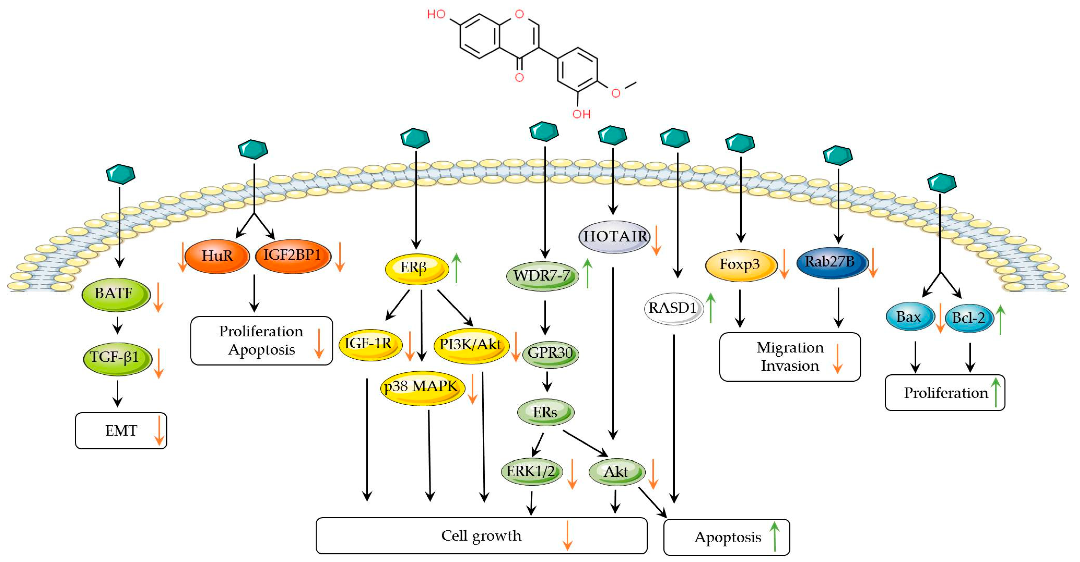 Biomolecules 14 01339 g001 Biomolecules 14 01339 g001