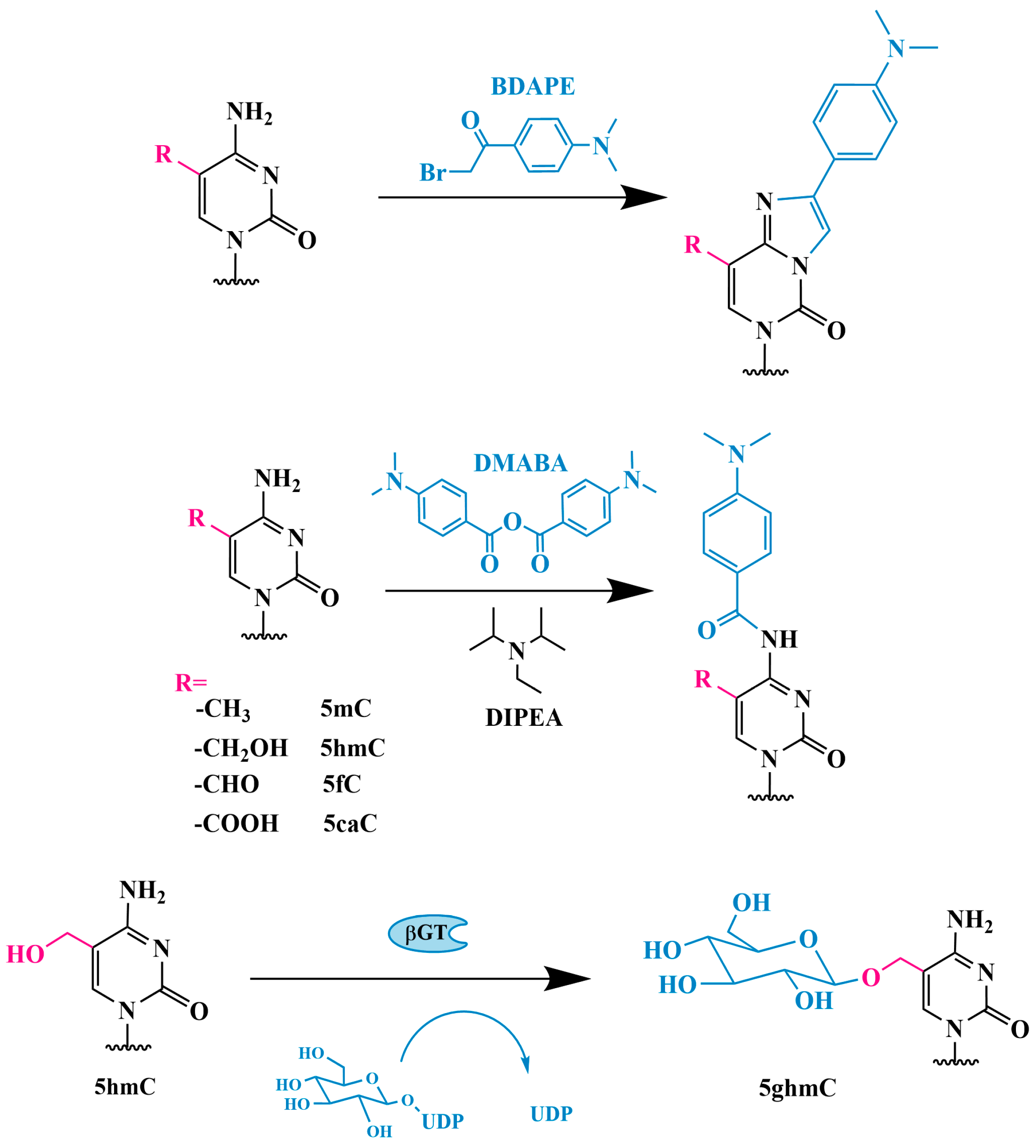 Biomolecules 14 01346 g003