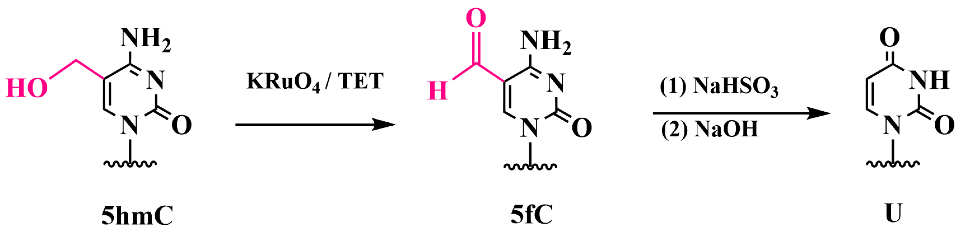Biomolecules 14 01346 g011