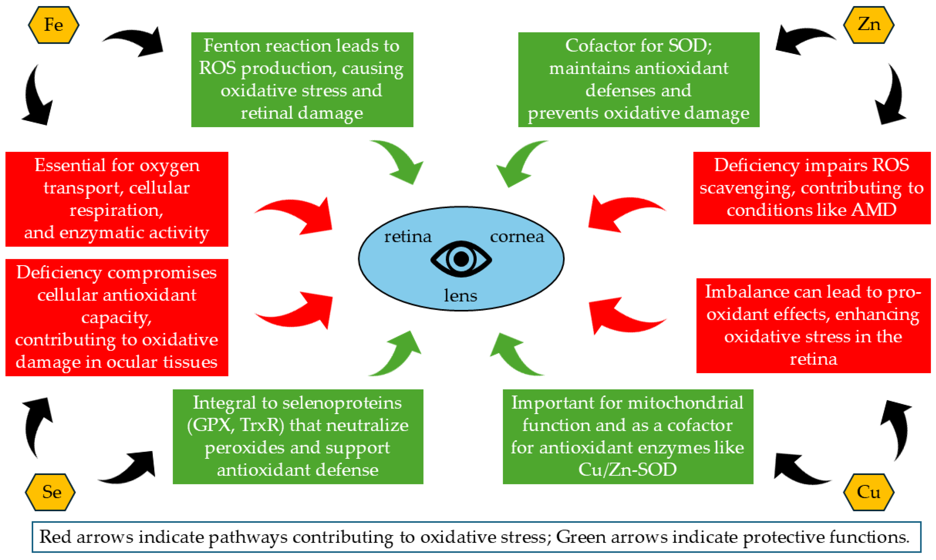 Biomolecules 14 01356 g004