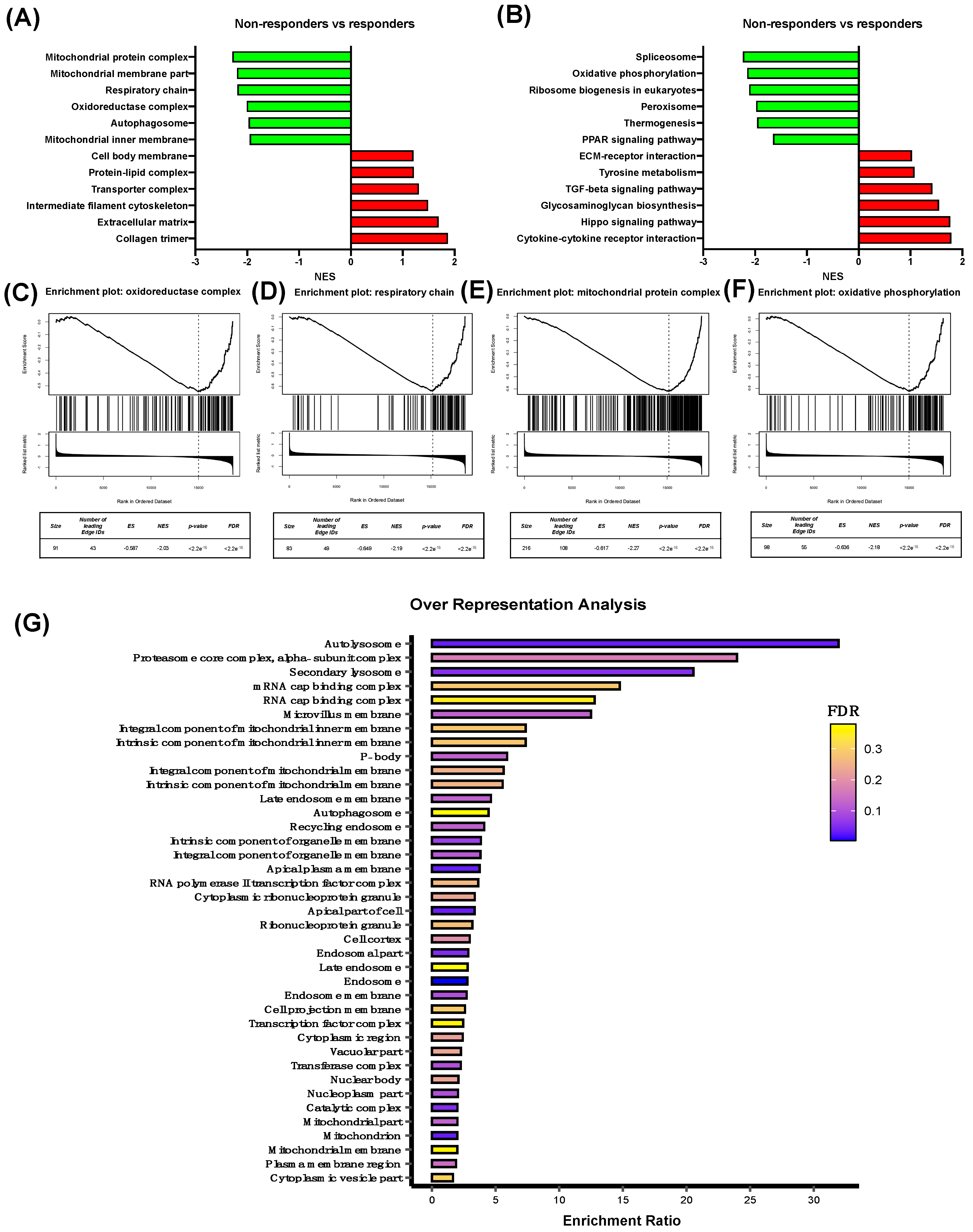 Biomolecules 14 01359 g001