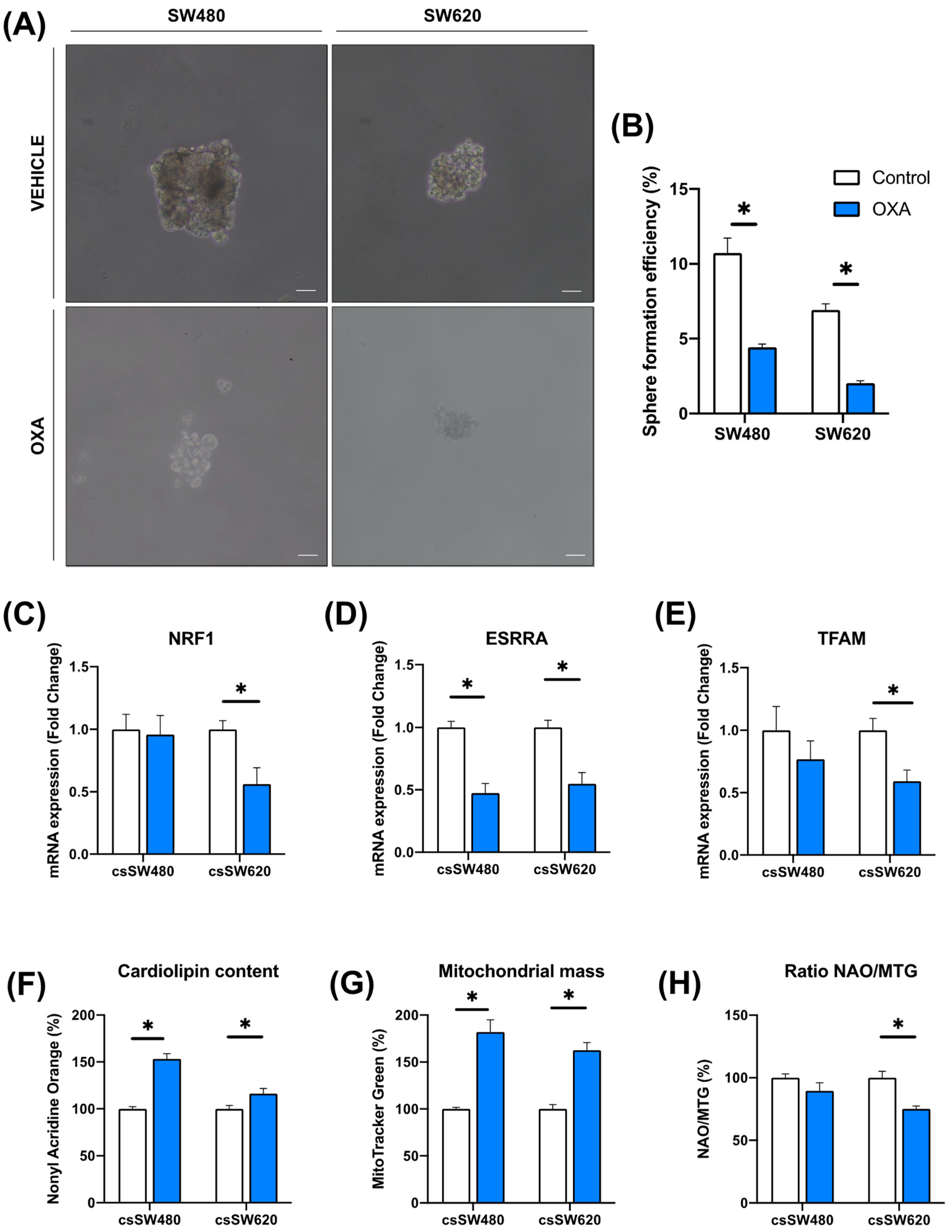 Biomolecules 14 01359 g003