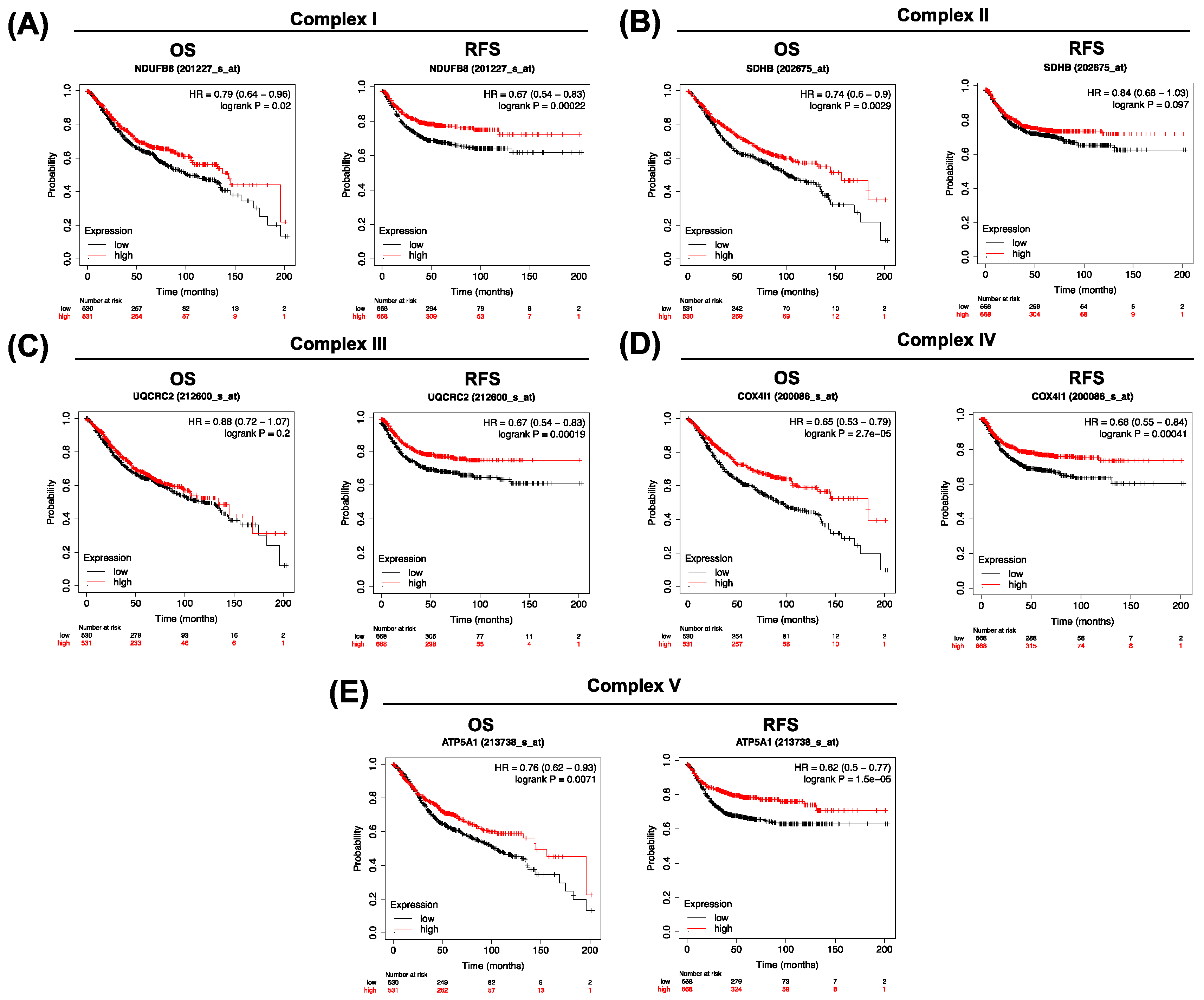Biomolecules 14 01359 g005