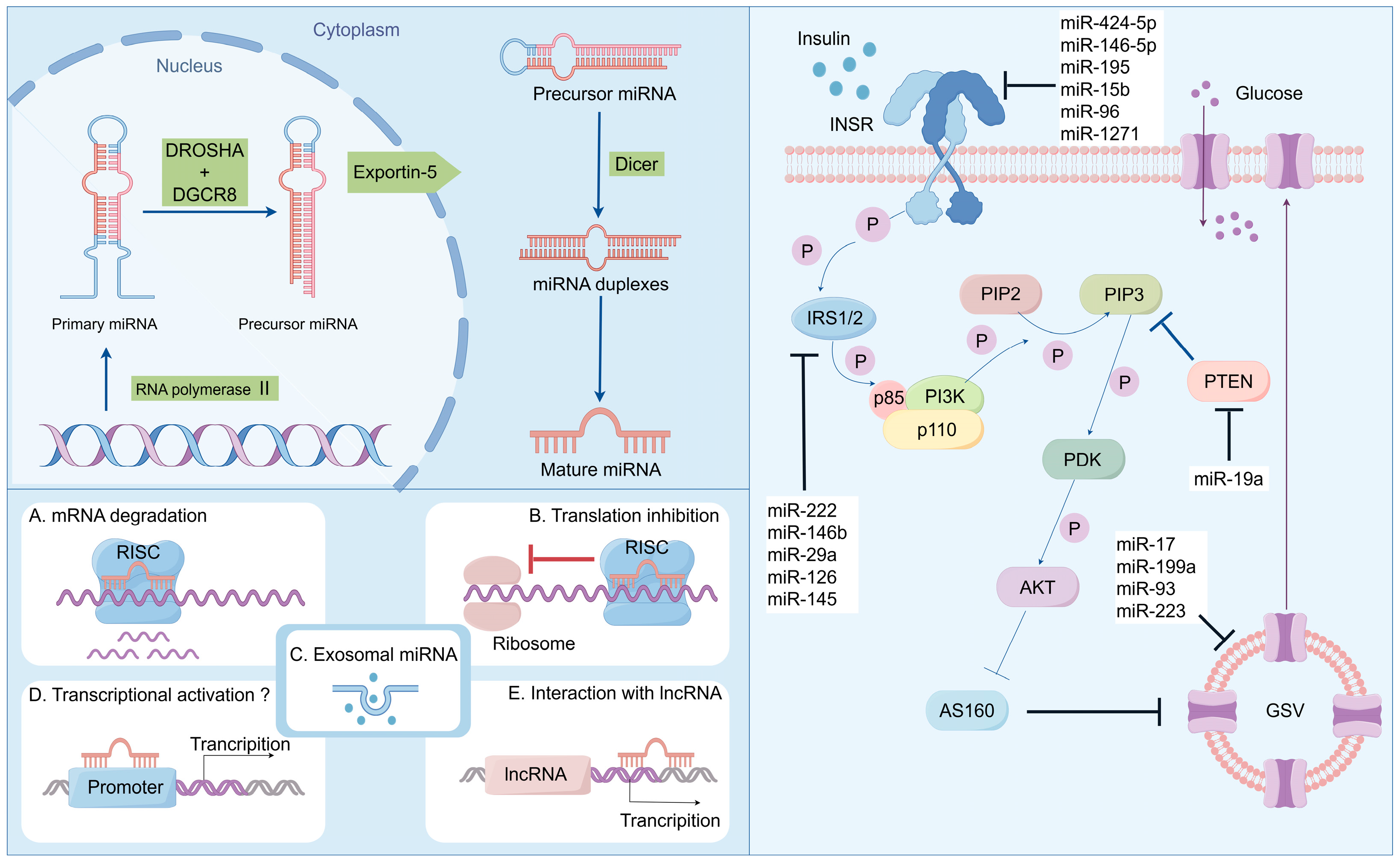 Biomolecules 14 01364 g001 Biomolecules 14 01364 g001
