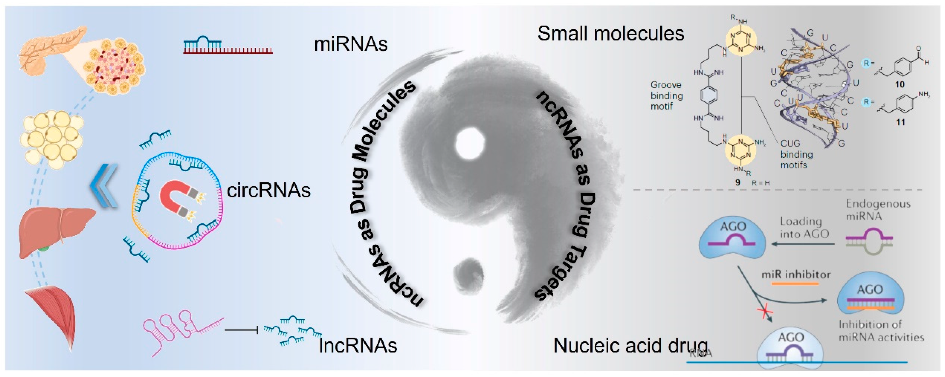 Biomolecules 14 01364 g004 Biomolecules 14 01364 g004