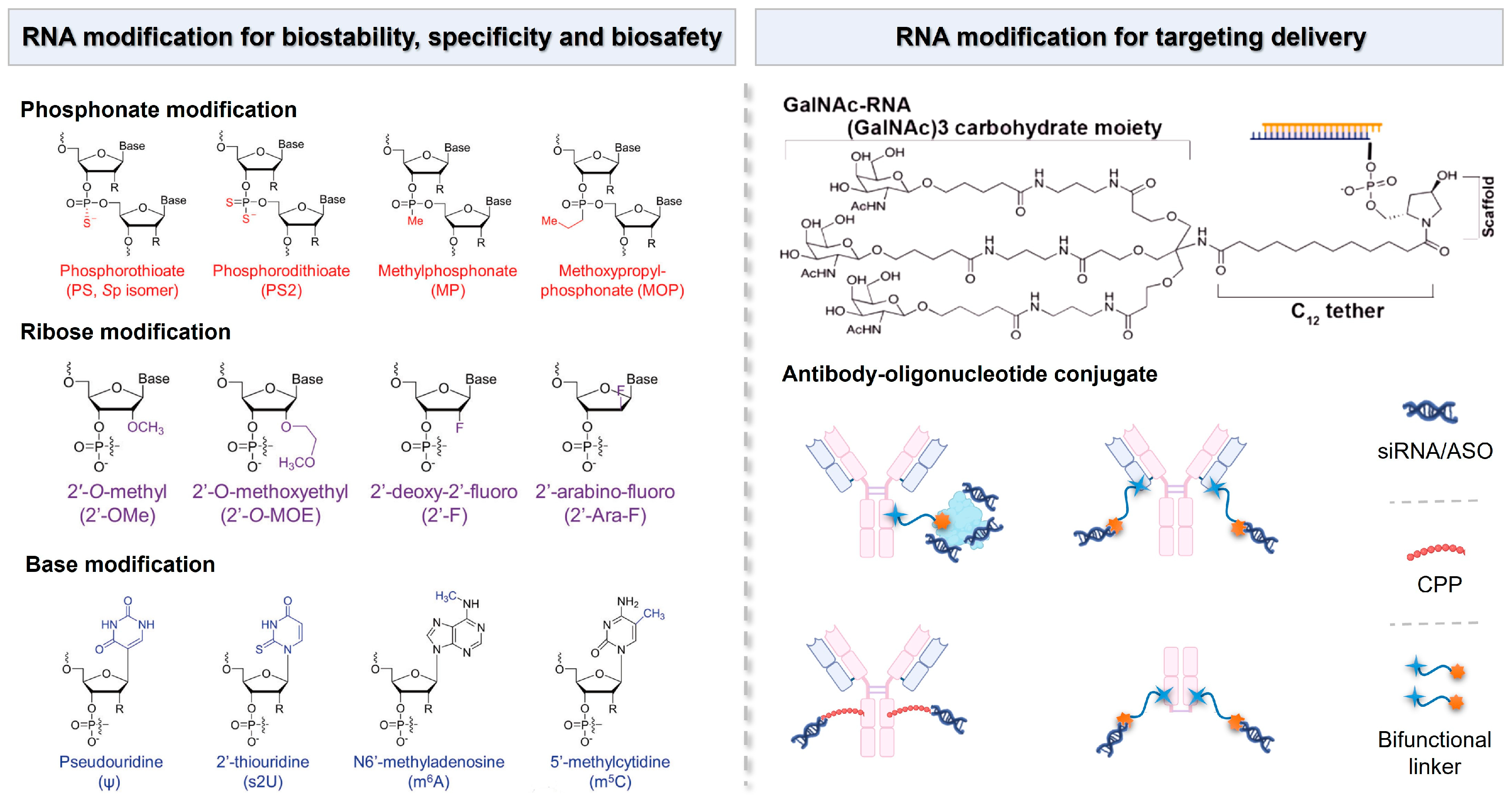 Biomolecules 14 01364 g005 Biomolecules 14 01364 g005