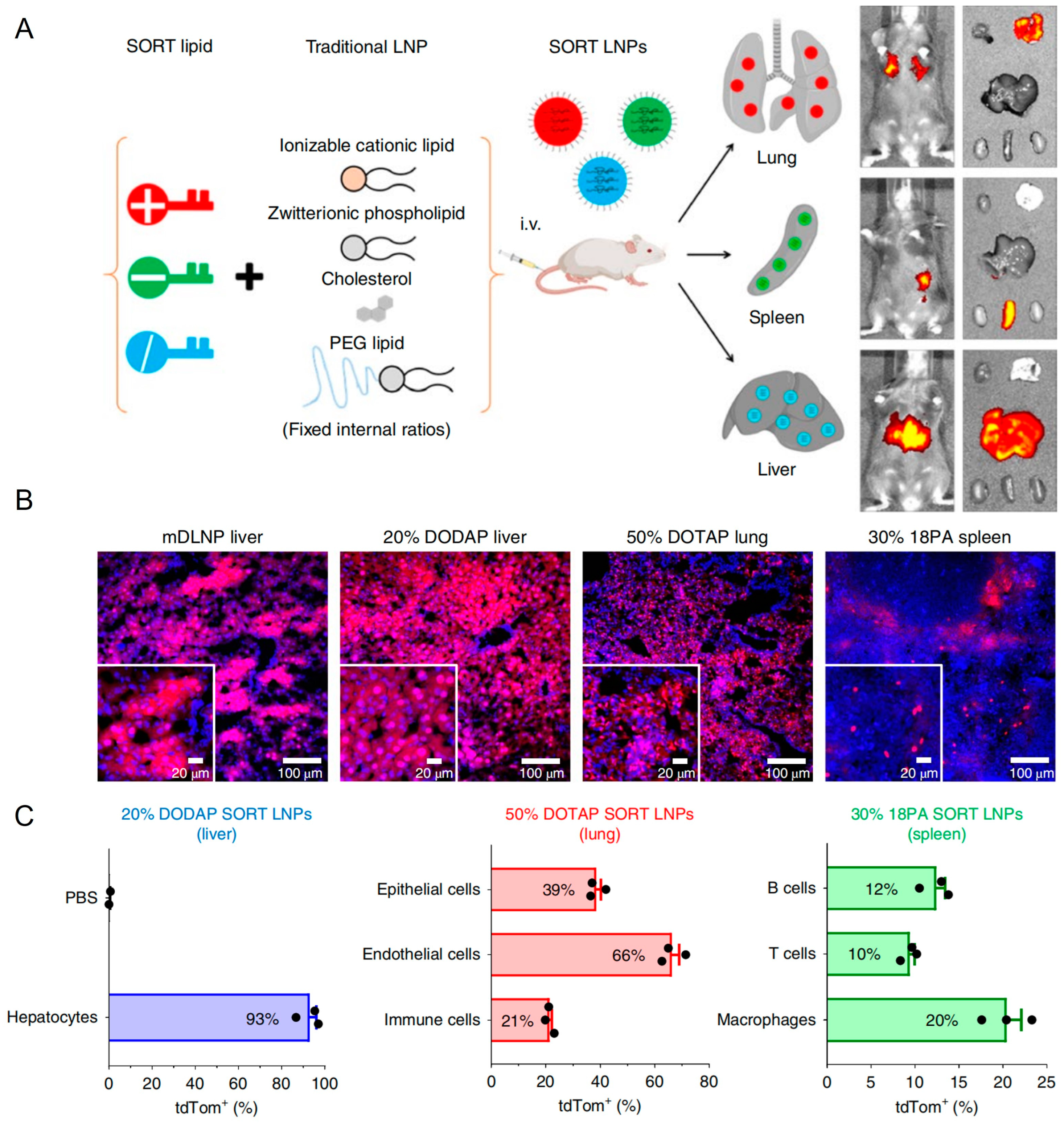 Biomolecules 14 01364 g007 Biomolecules 14 01364 g007