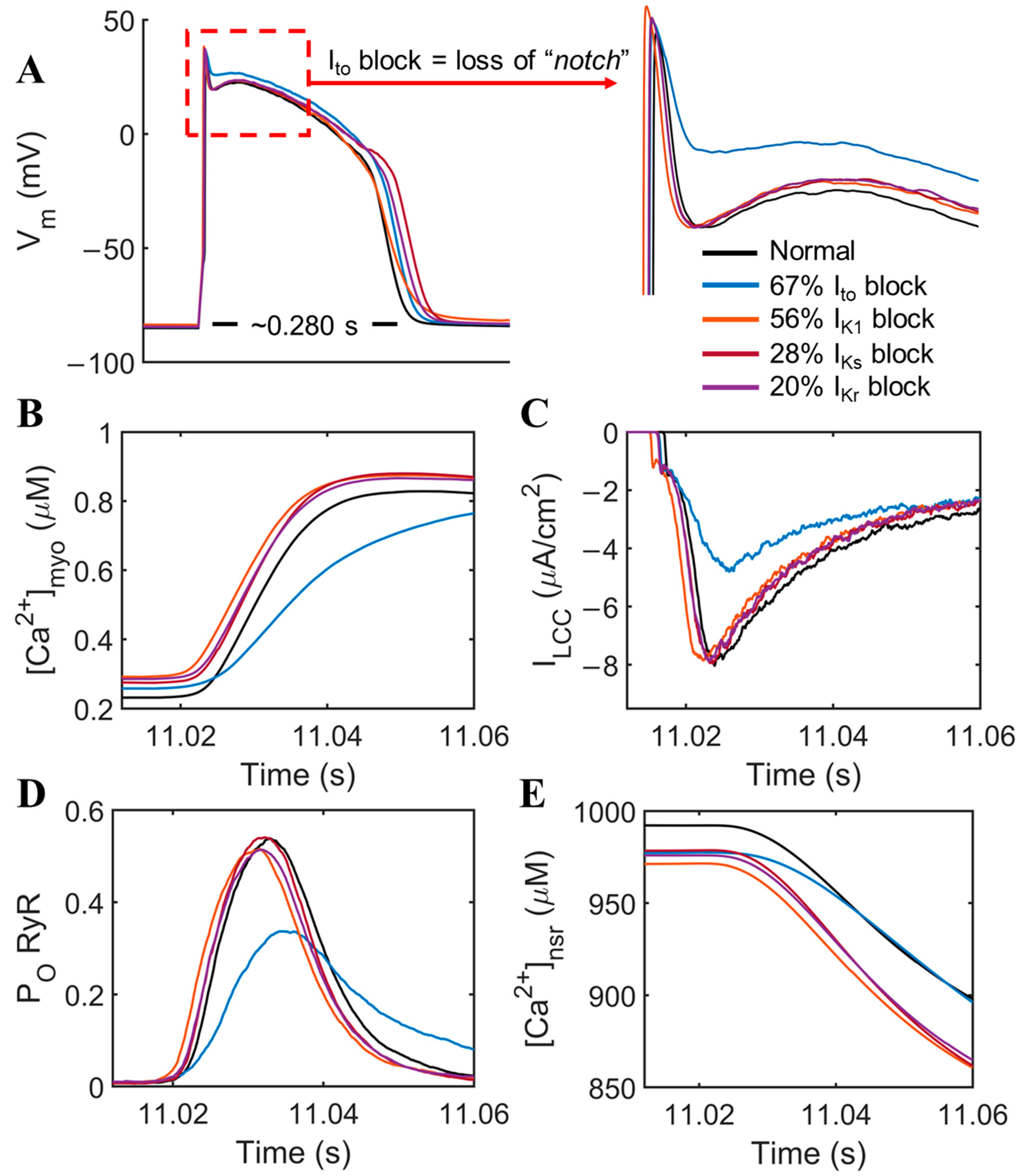 Biomolecules 14 01371 g002 Biomolecules 14 01371 g002