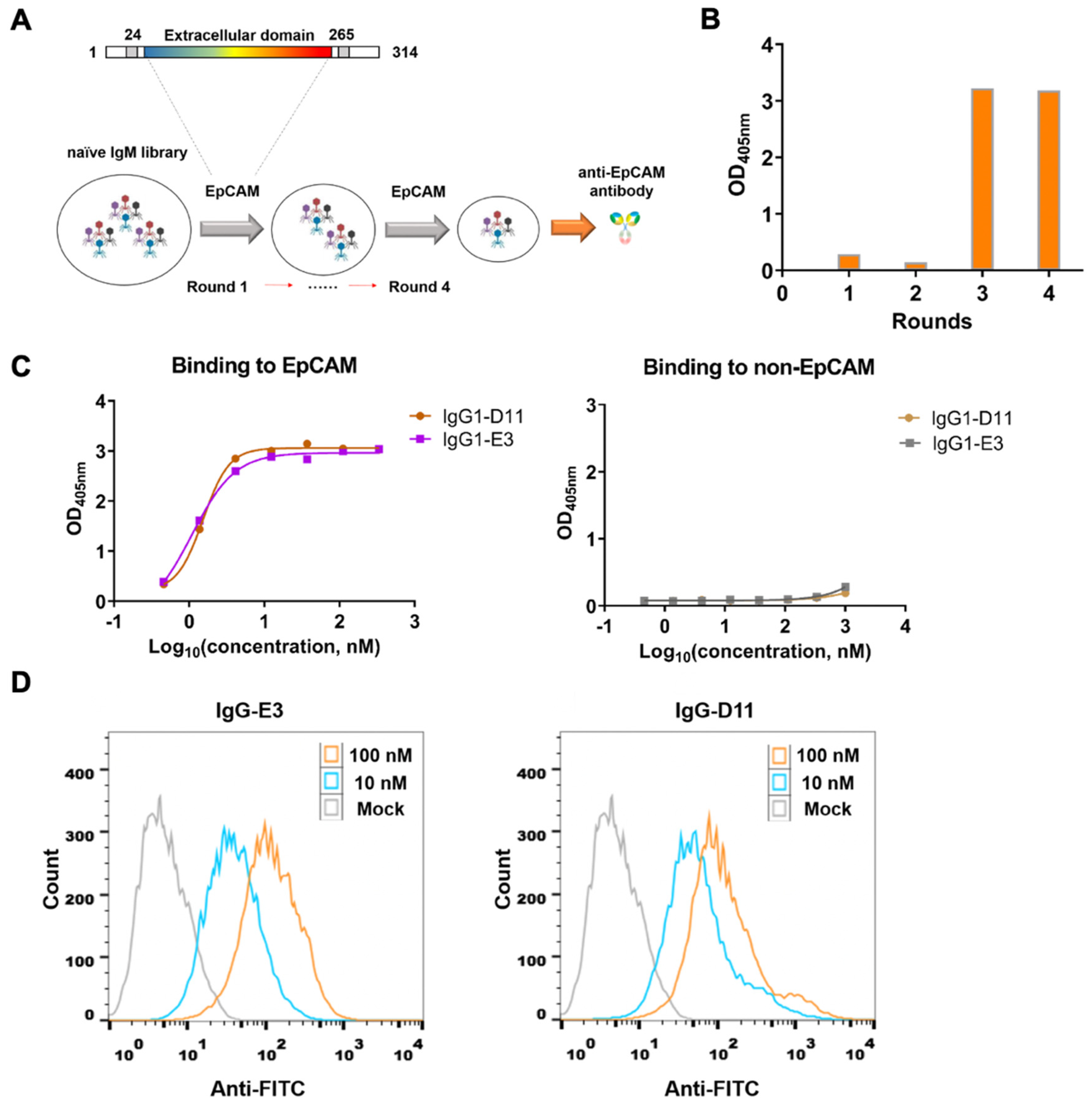 Biomolecules 14 01399 g001