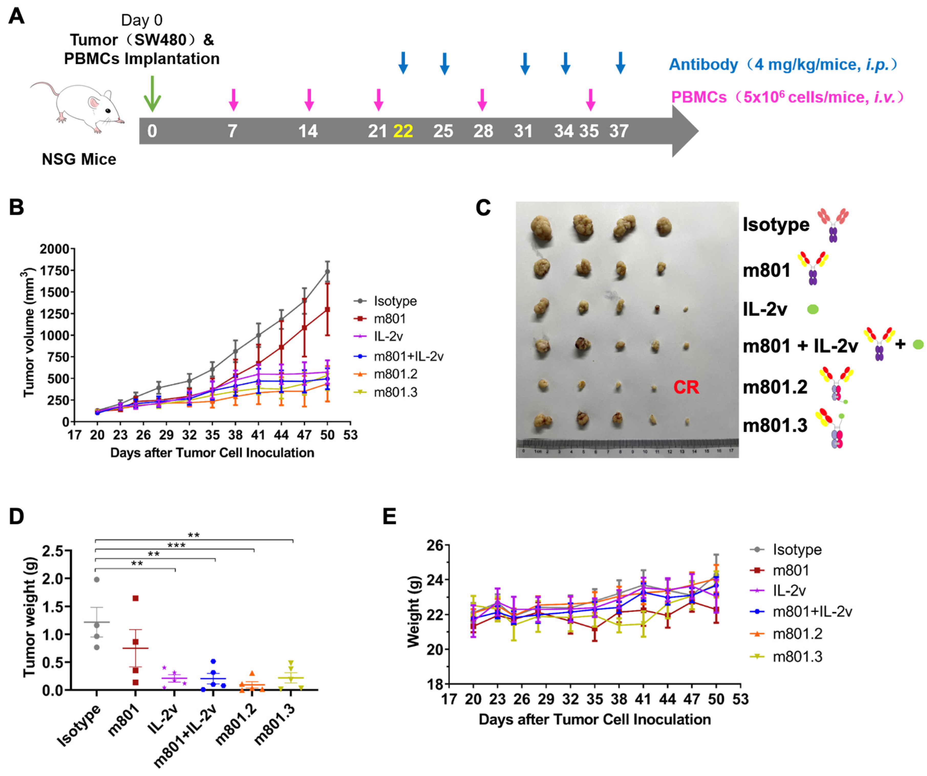 Biomolecules 14 01399 g005