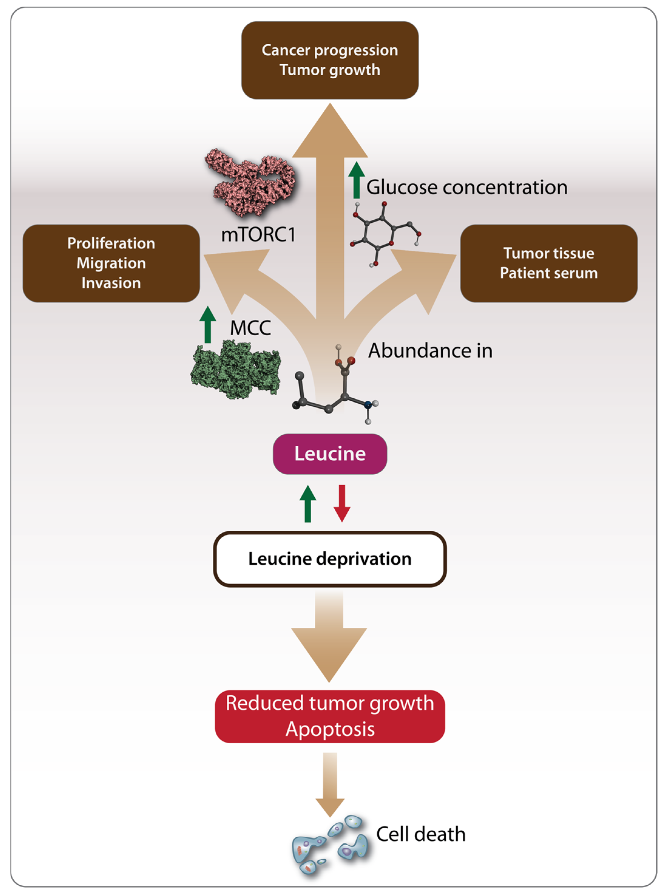 Biomolecules 14 01401 g003