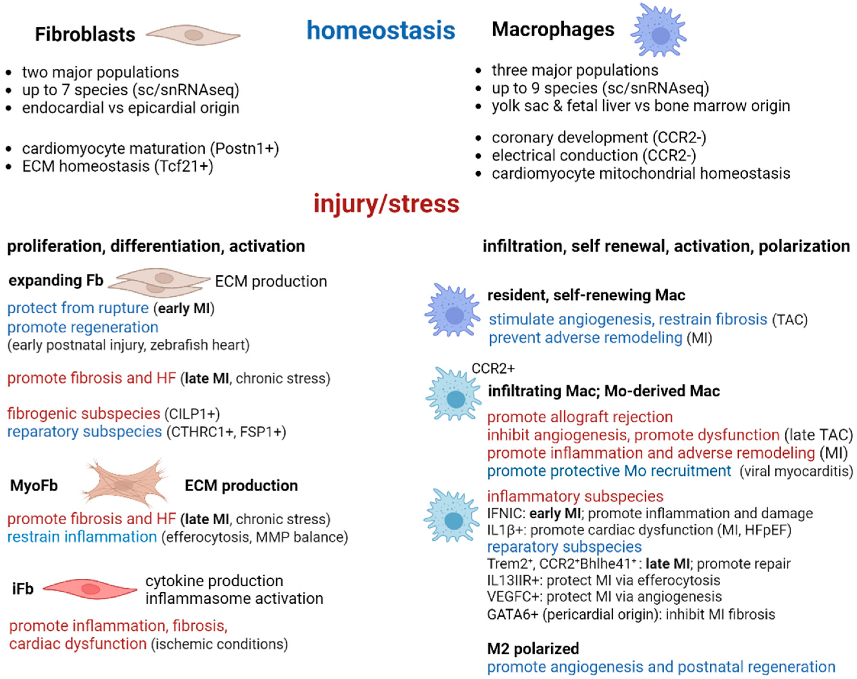 Biomolecules 14 01403 g001