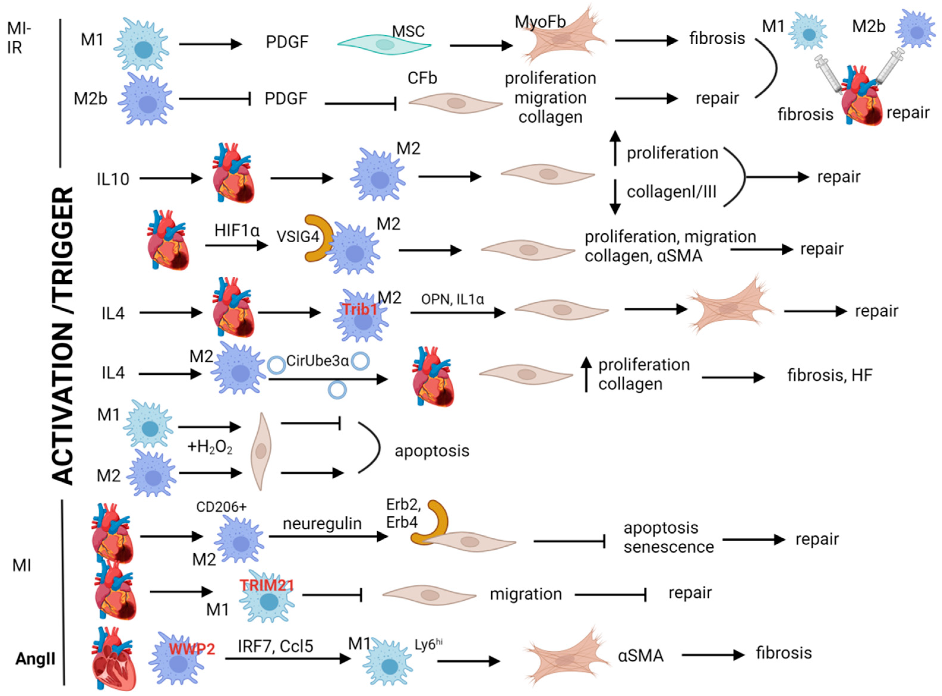 Biomolecules 14 01403 g003