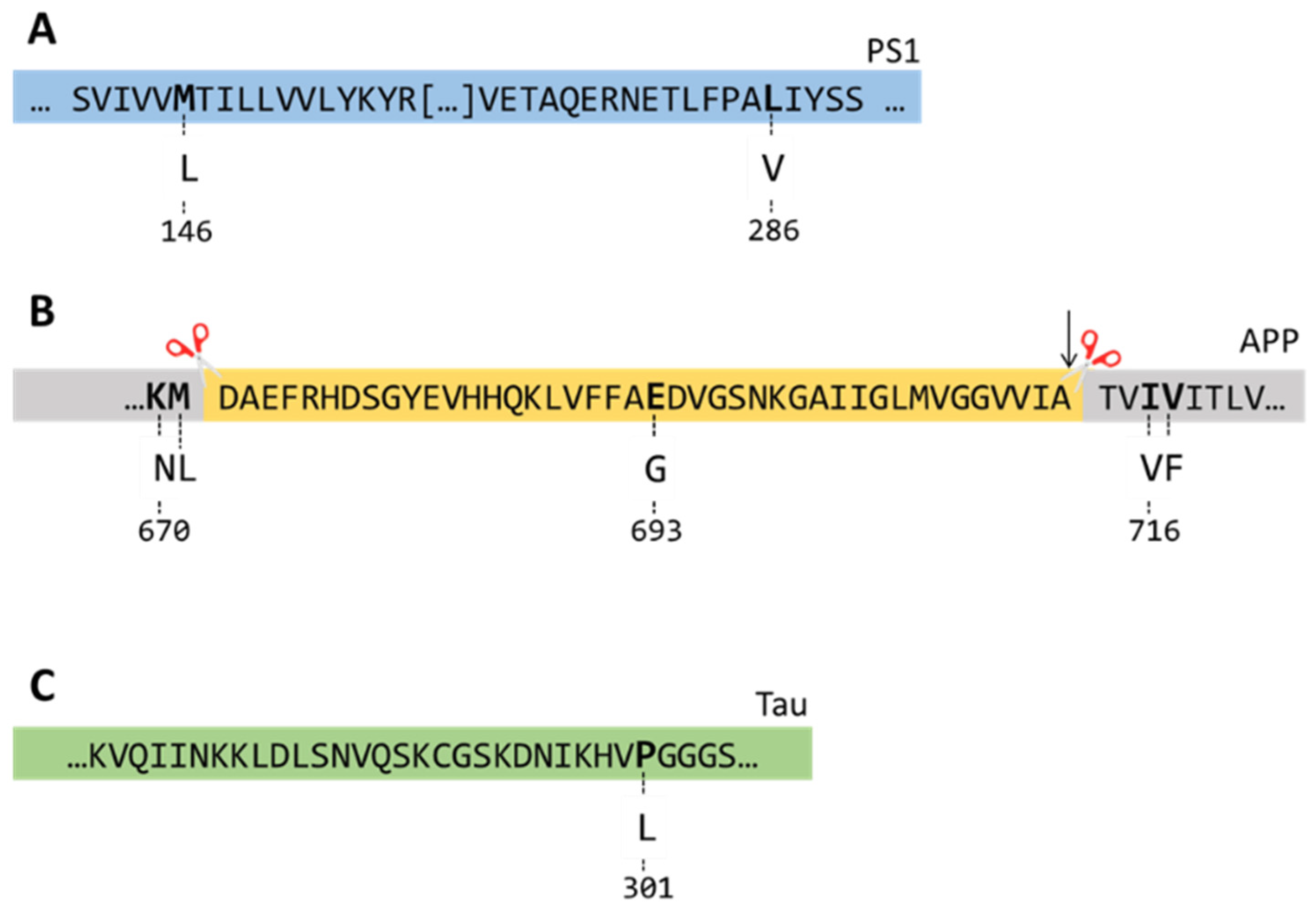 Biomolecules 14 01405 g001 Biomolecules 14 01405 g001