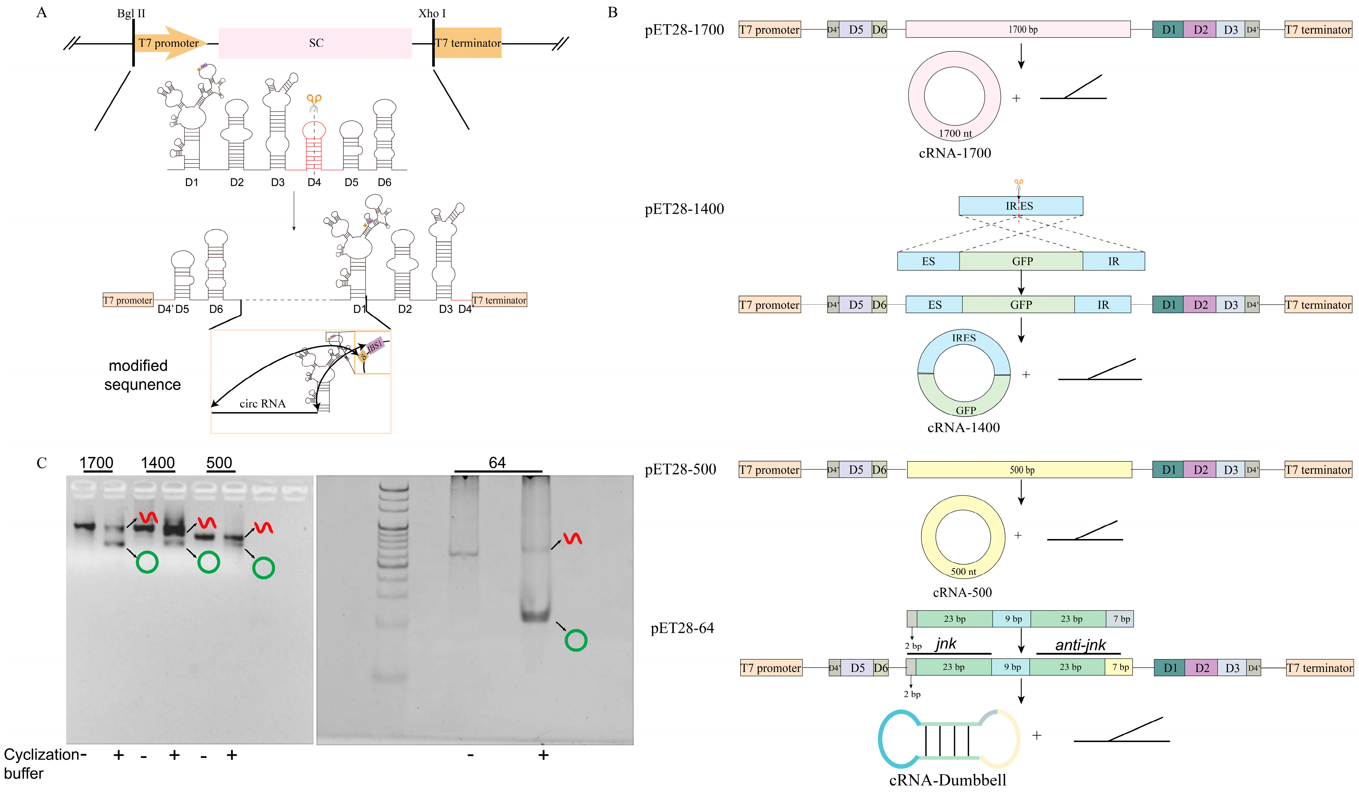Biomolecules 14 01416 g001 Biomolecules 14 01416 g001