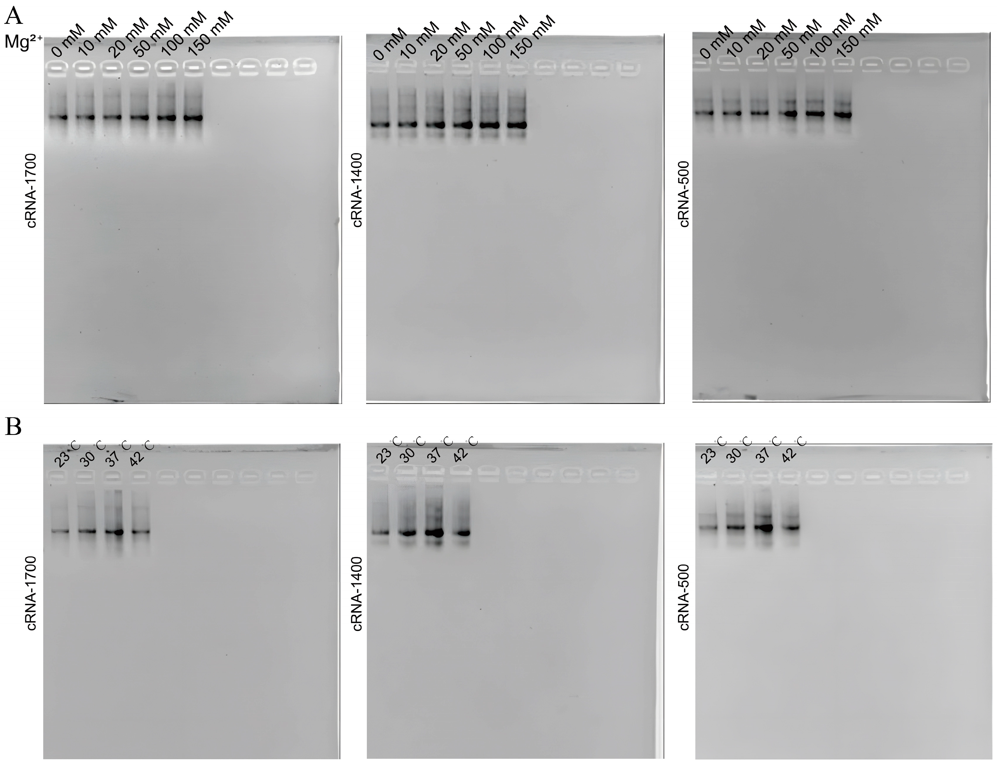 Biomolecules 14 01416 g004 Biomolecules 14 01416 g004