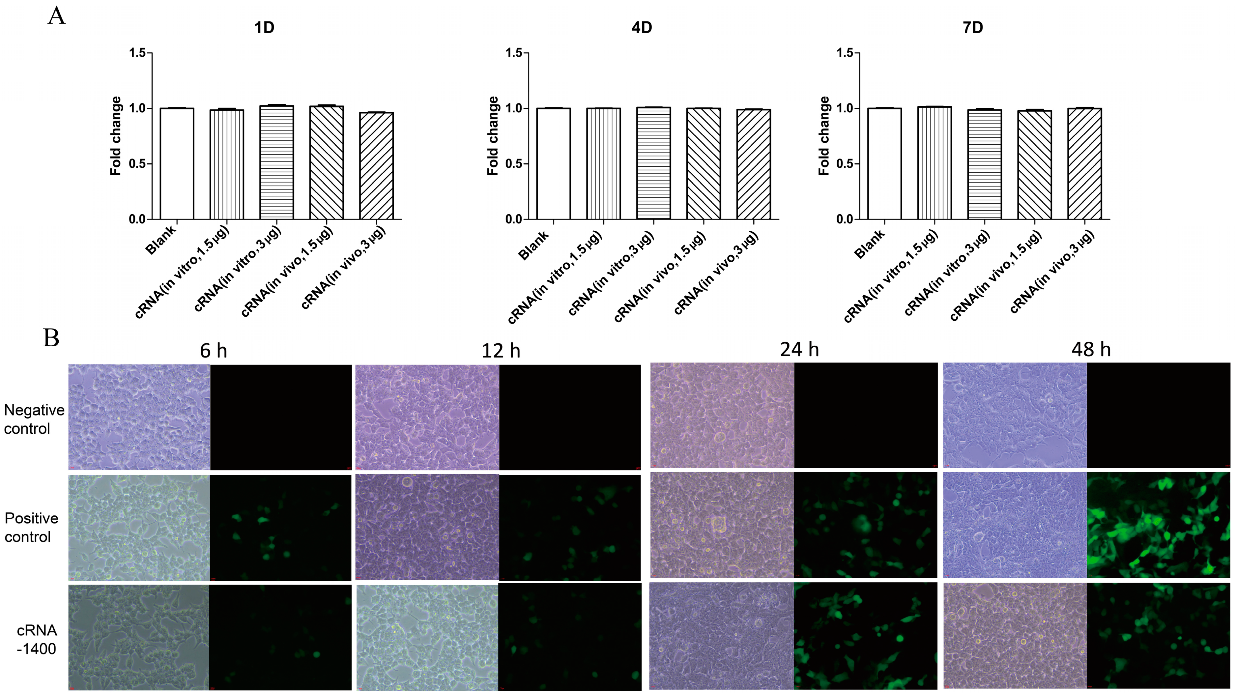 Biomolecules 14 01416 g005 Biomolecules 14 01416 g005