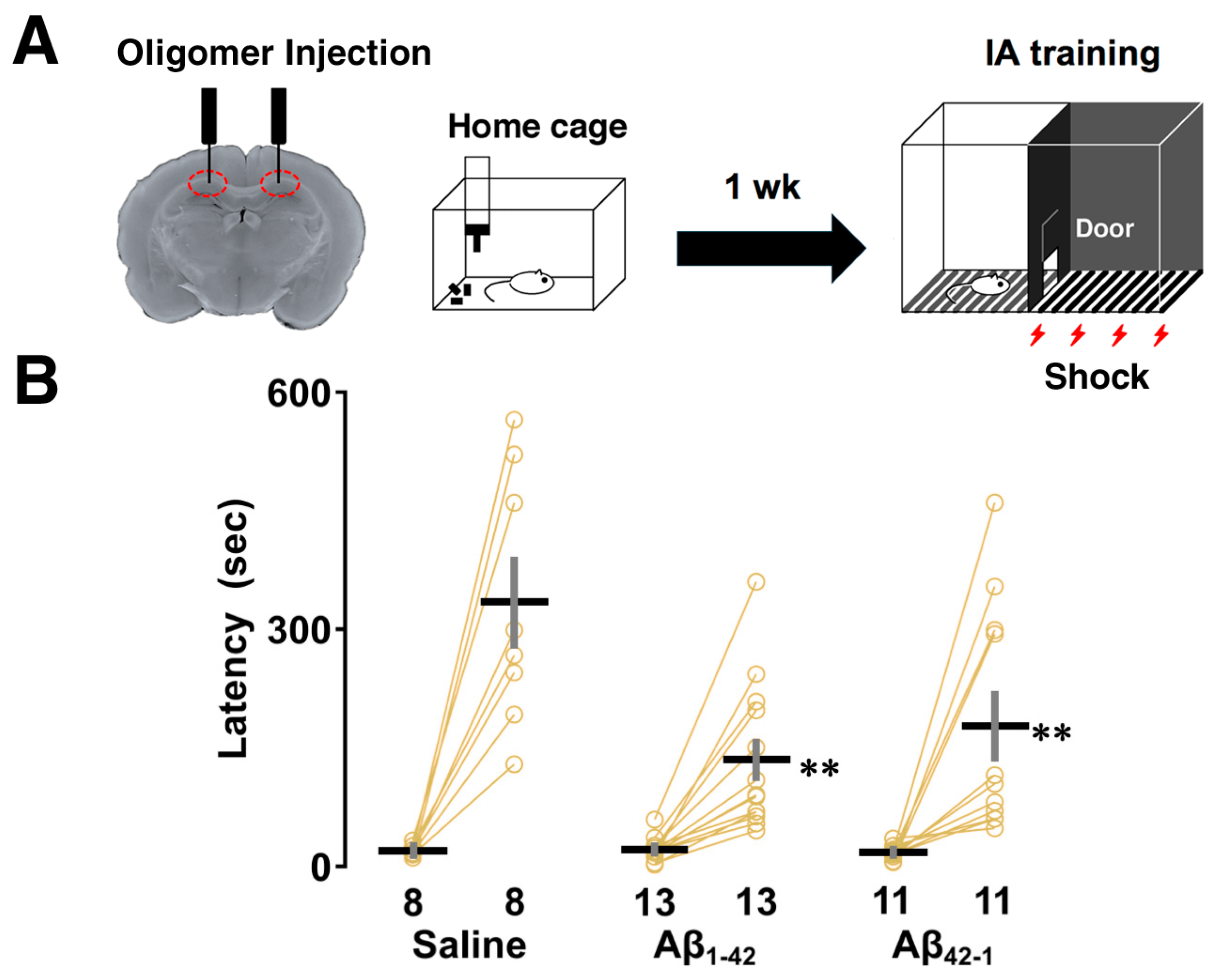 Biomolecules 14 01425 g001