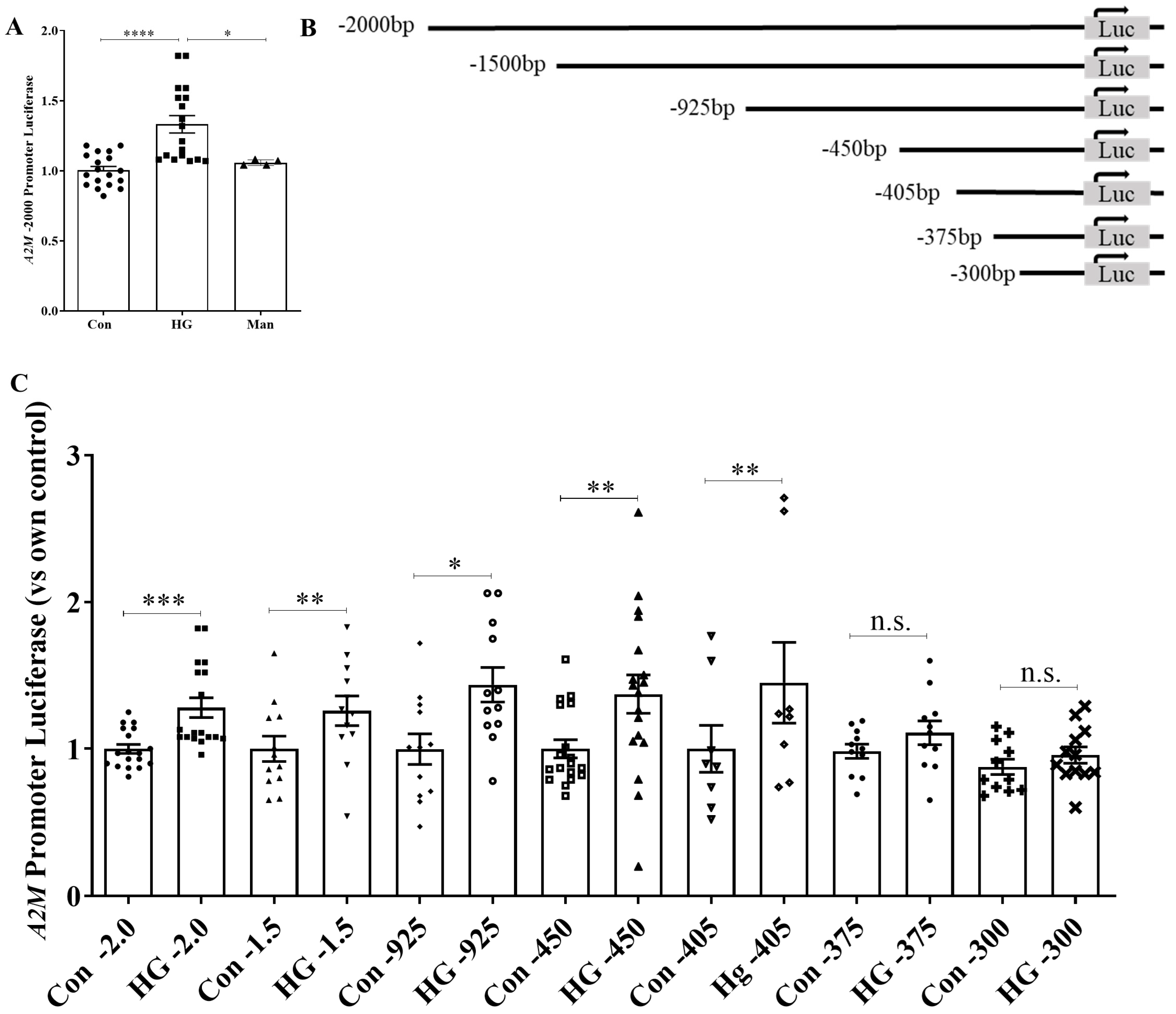 Biomolecules 14 01444 g001 Biomolecules 14 01444 g001