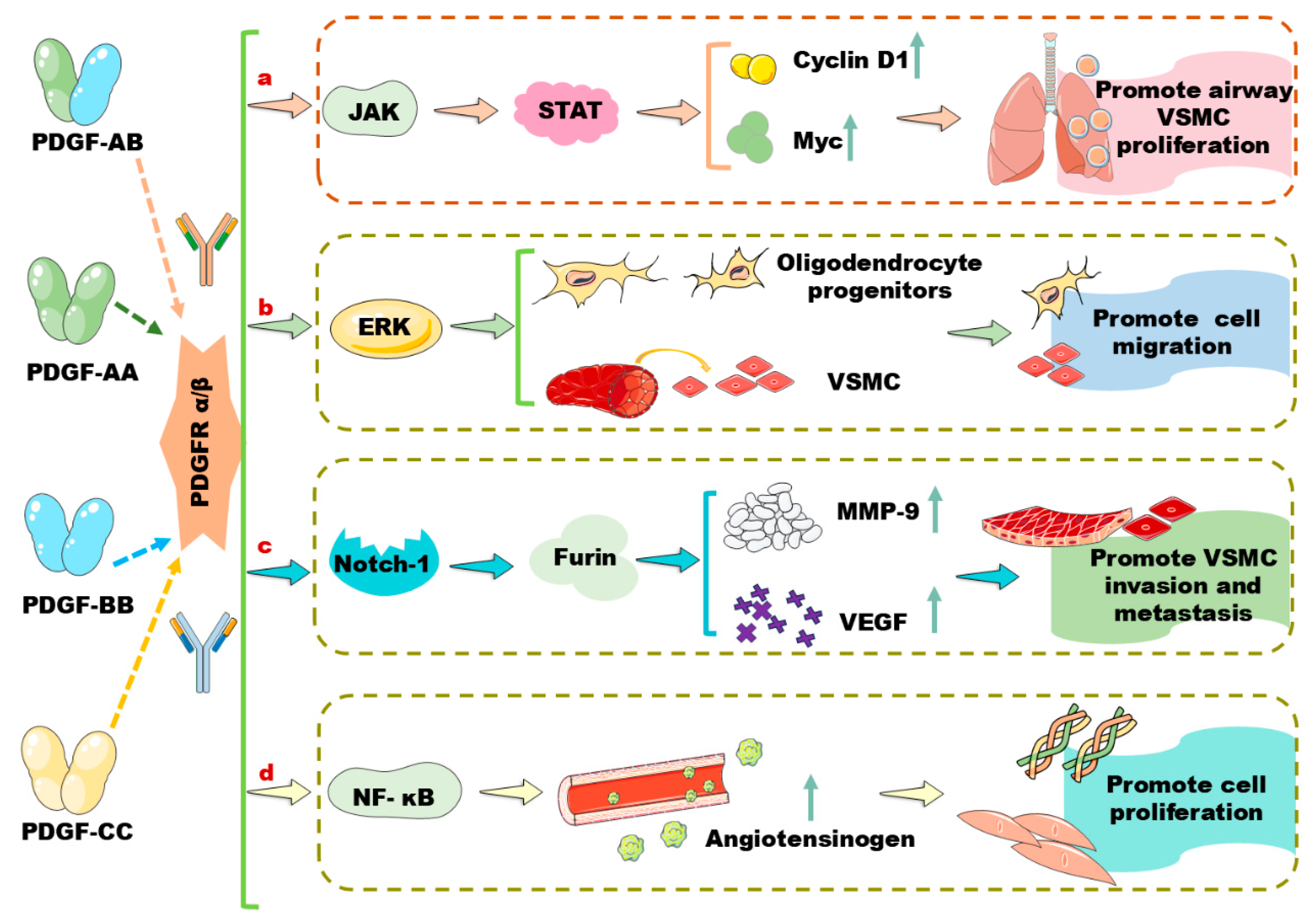 Biomolecules 14 01446 g001