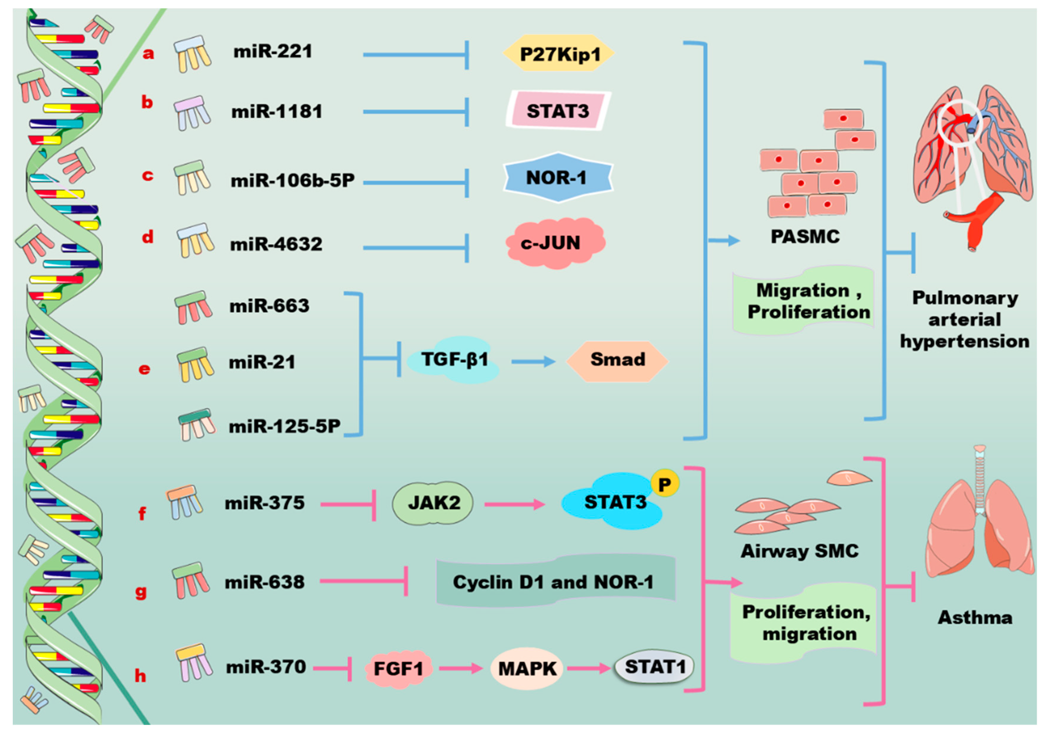 Biomolecules 14 01446 g003