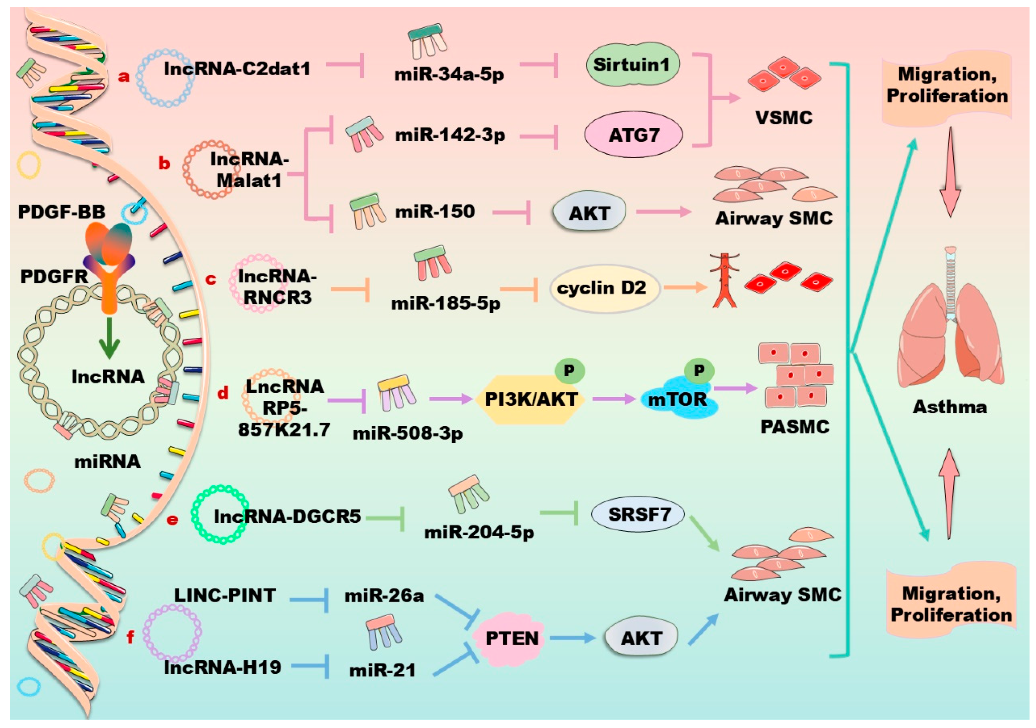 Biomolecules 14 01446 g004