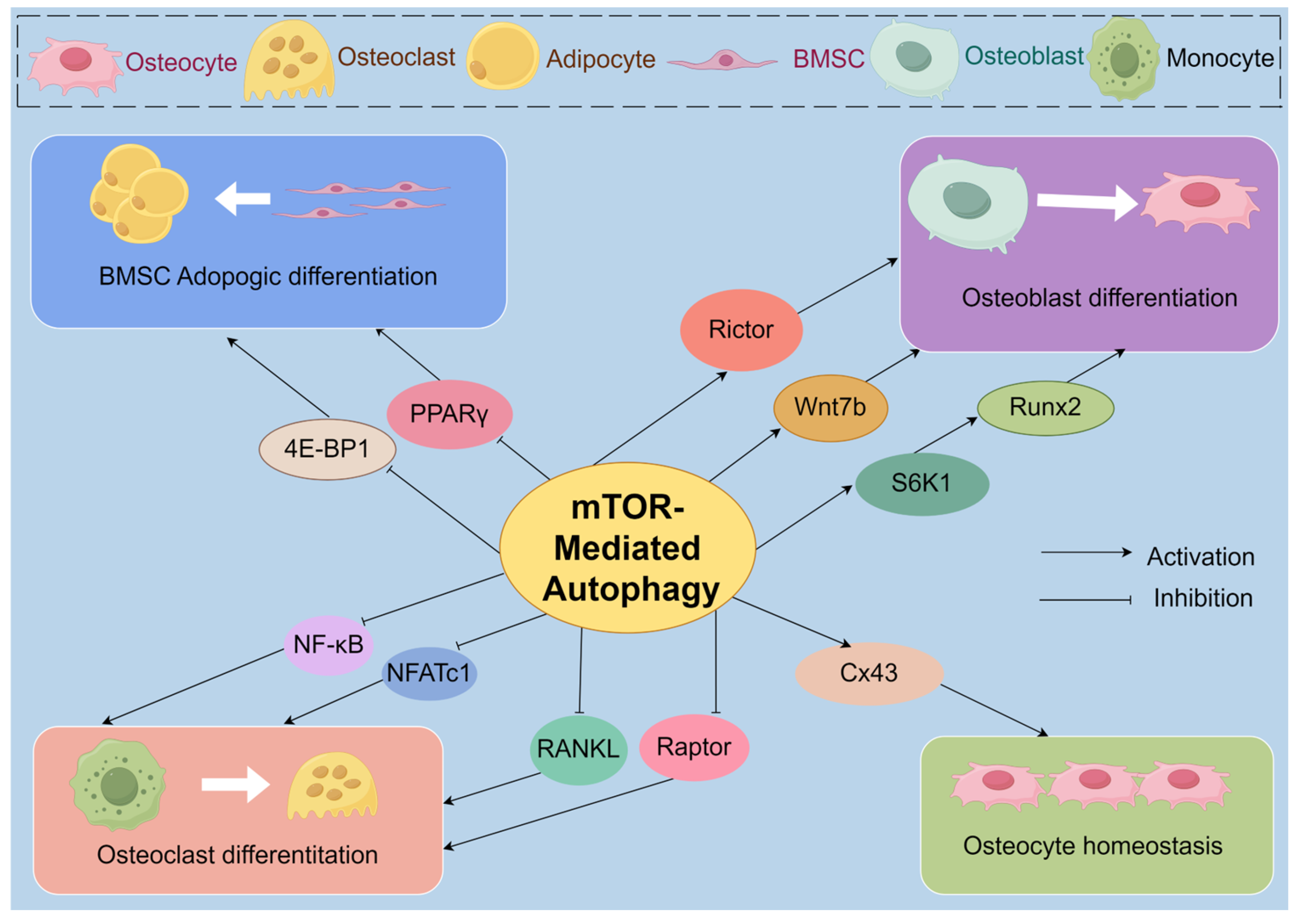 Biomolecules 14 01452 g003
