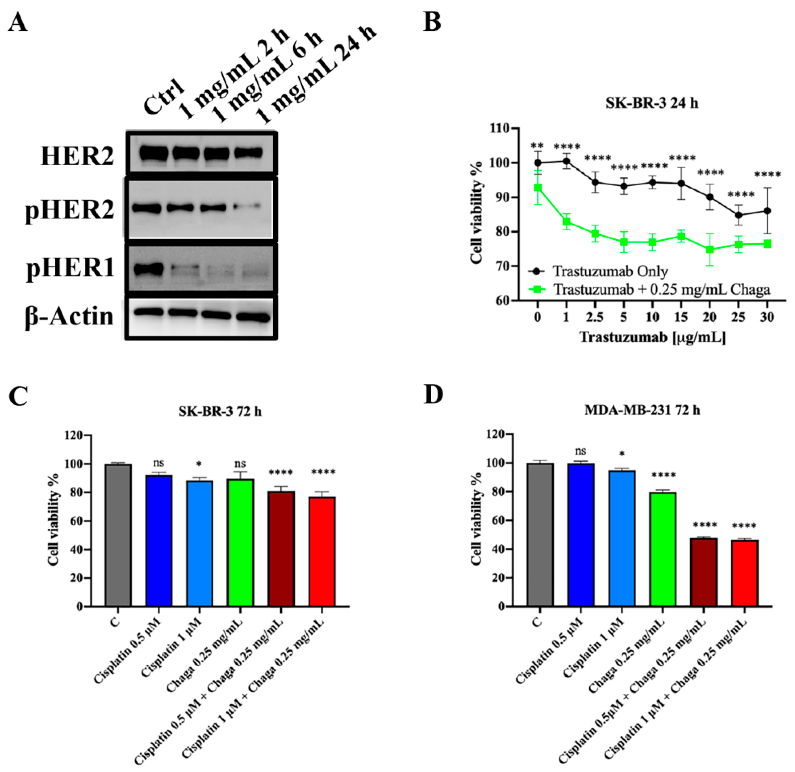 Biomolecules 14 01454 g007