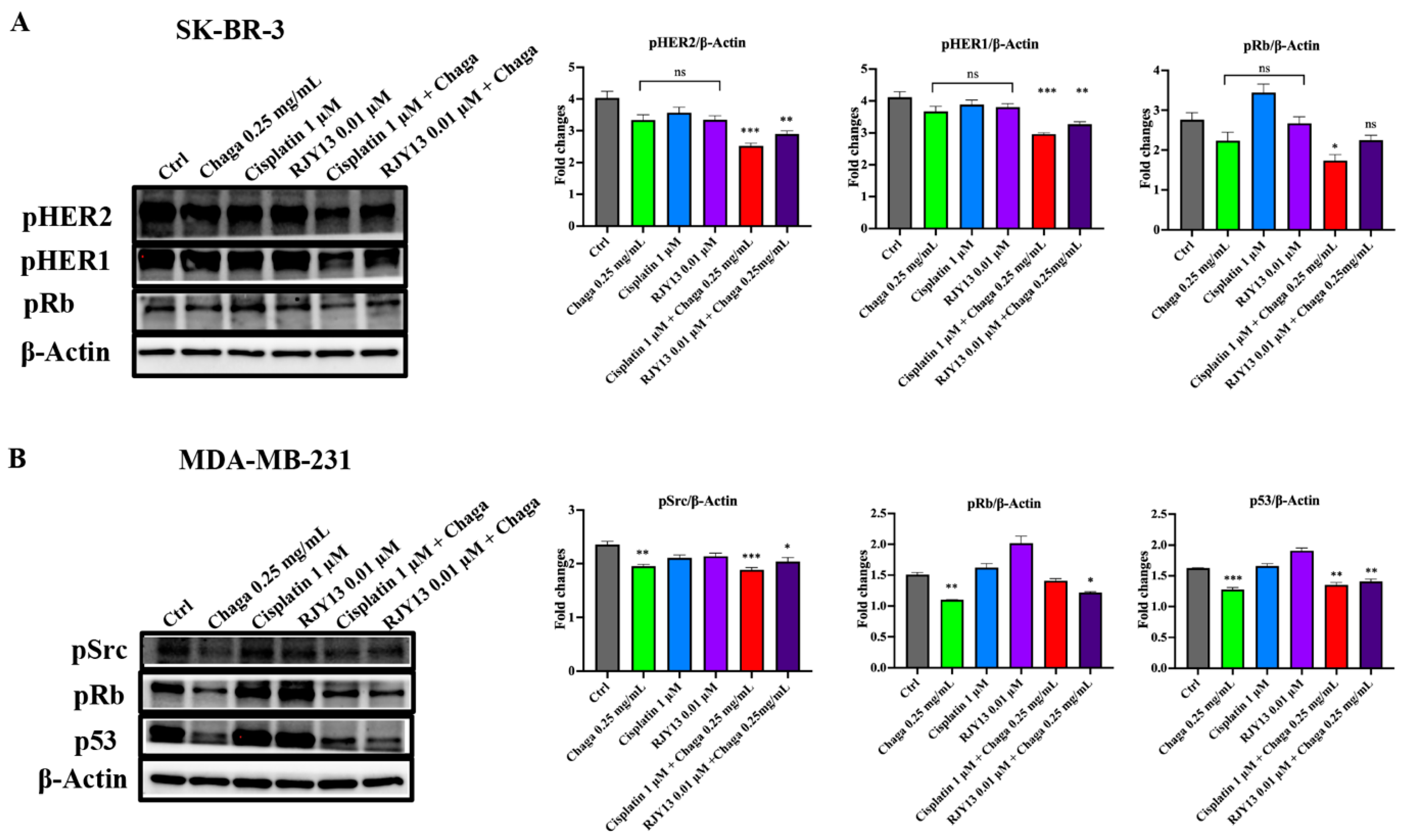 Biomolecules 14 01454 g008