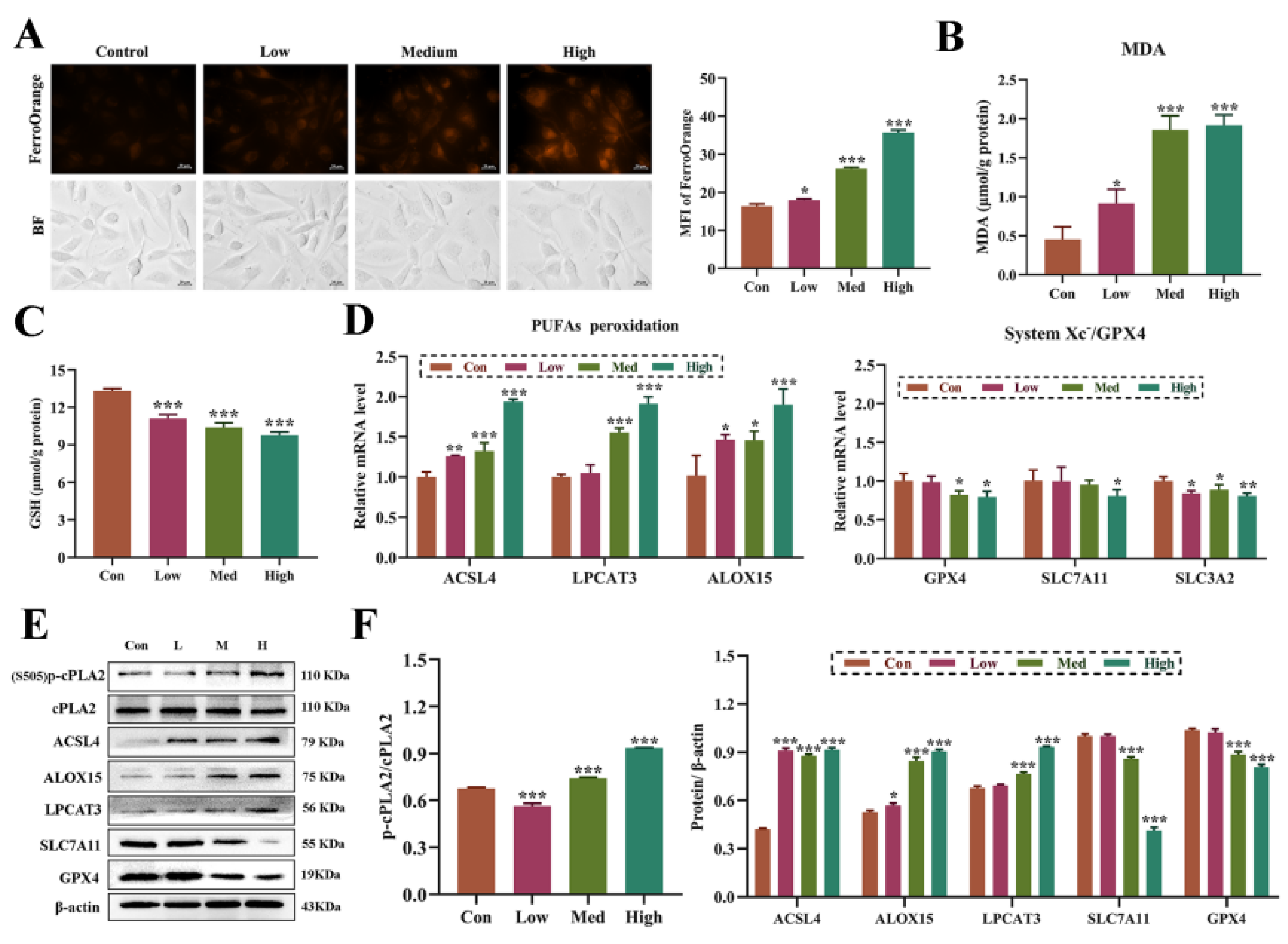 Biomolecules 14 01456 g003