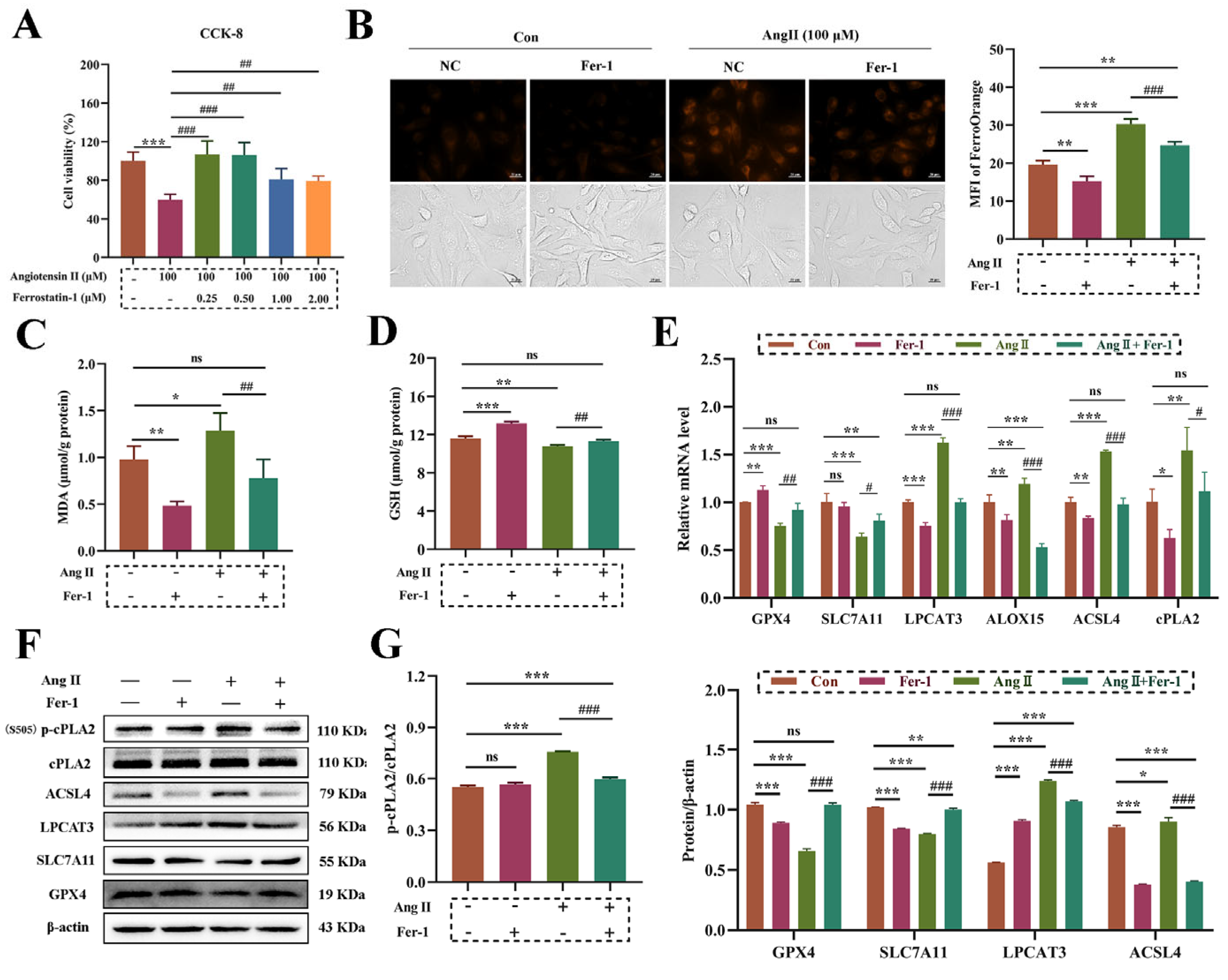 Biomolecules 14 01456 g004
