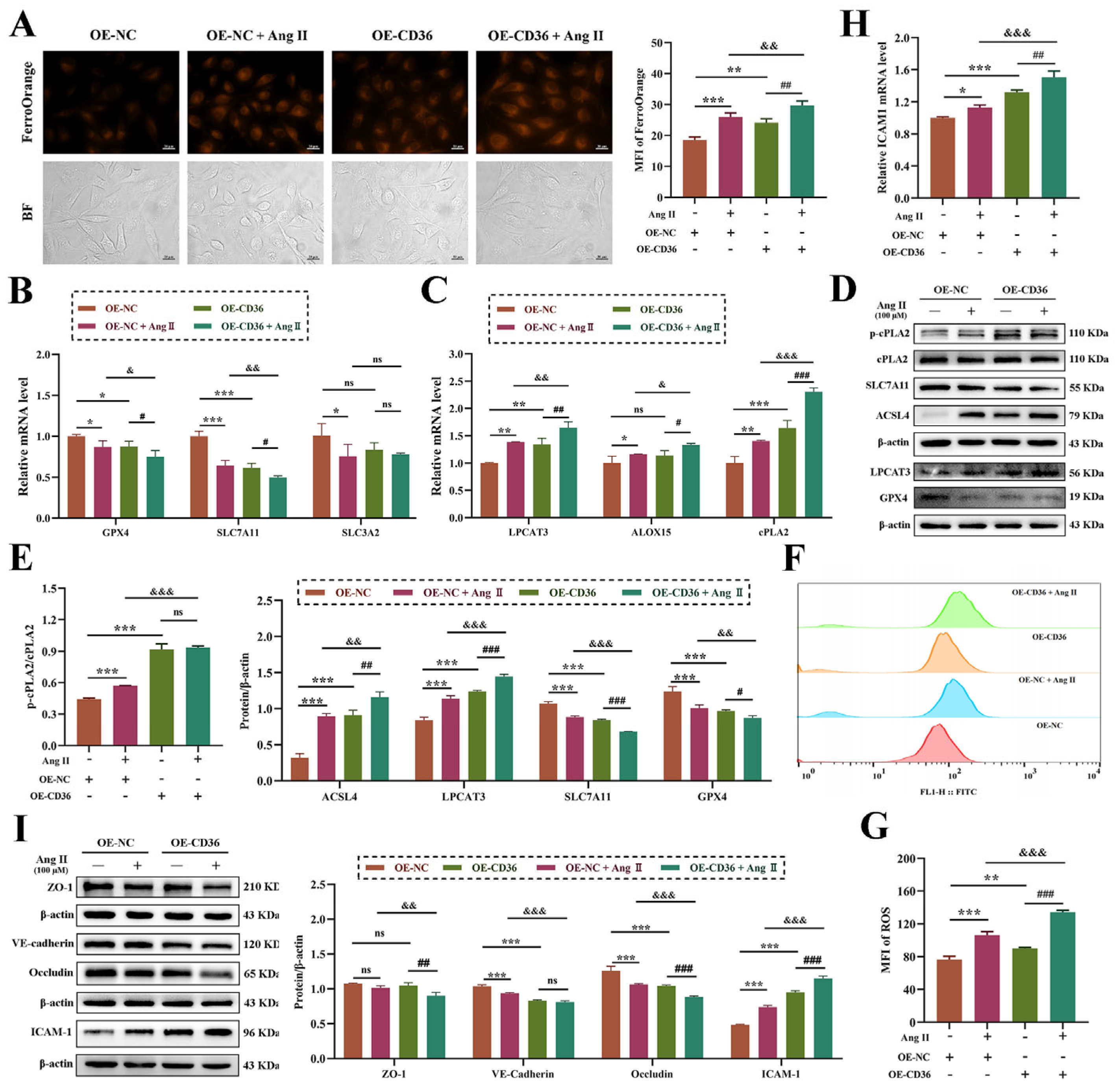 Biomolecules 14 01456 g007
