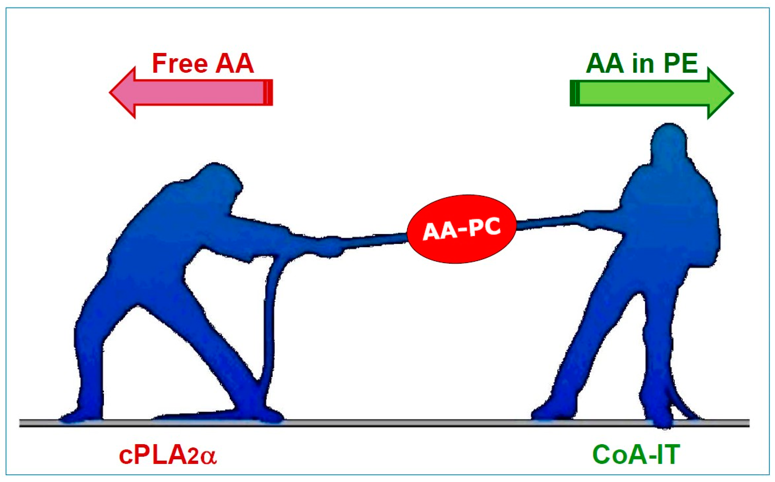 Biomolecules 14 01461 g002
