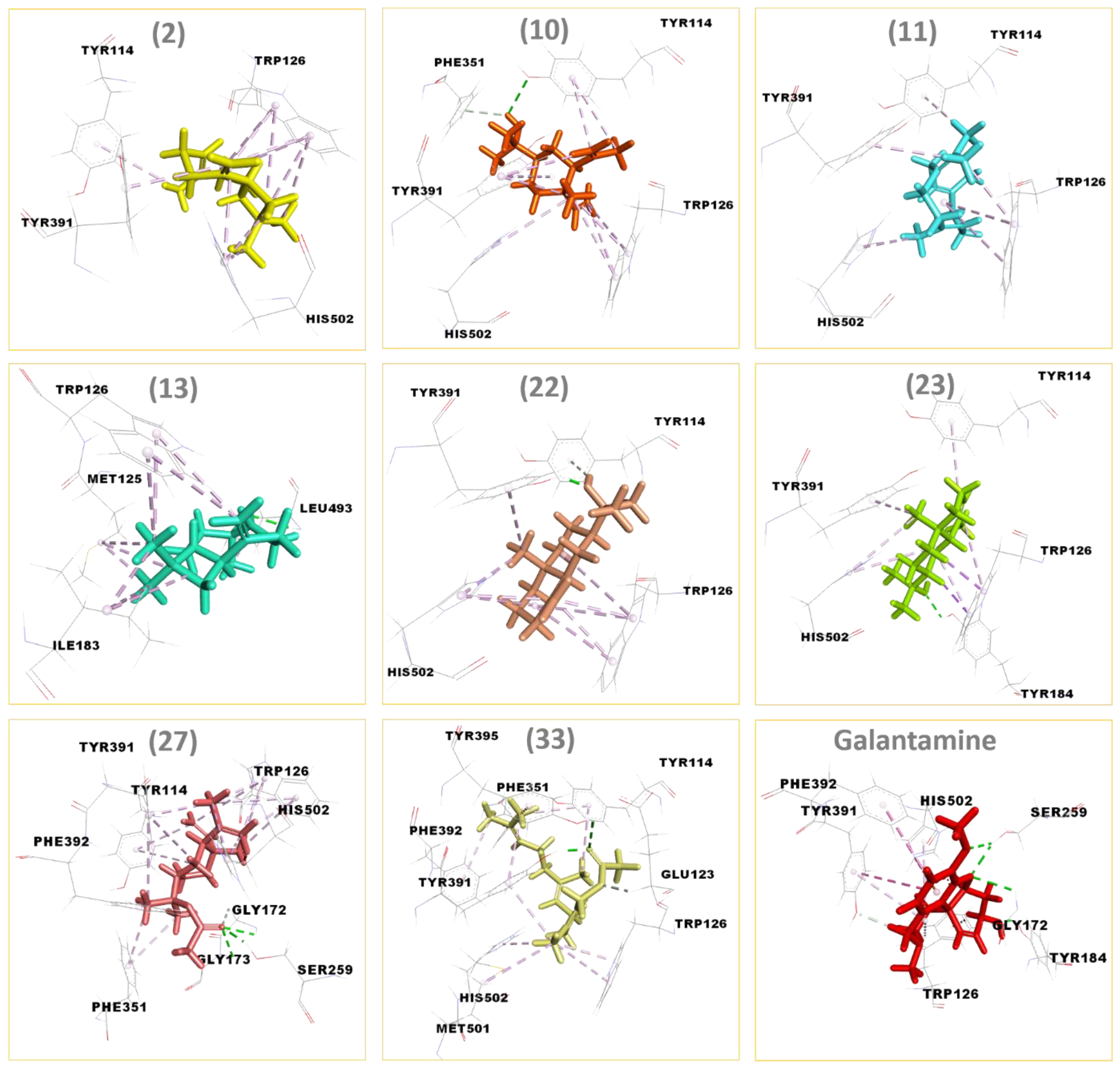 Biomolecules 14 01464 g004 Biomolecules 14 01464 g004