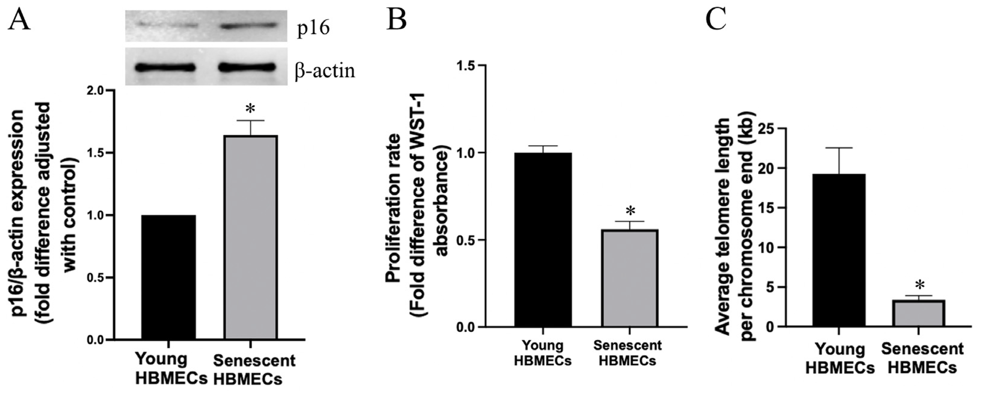 Biomolecules 14 01476 g002