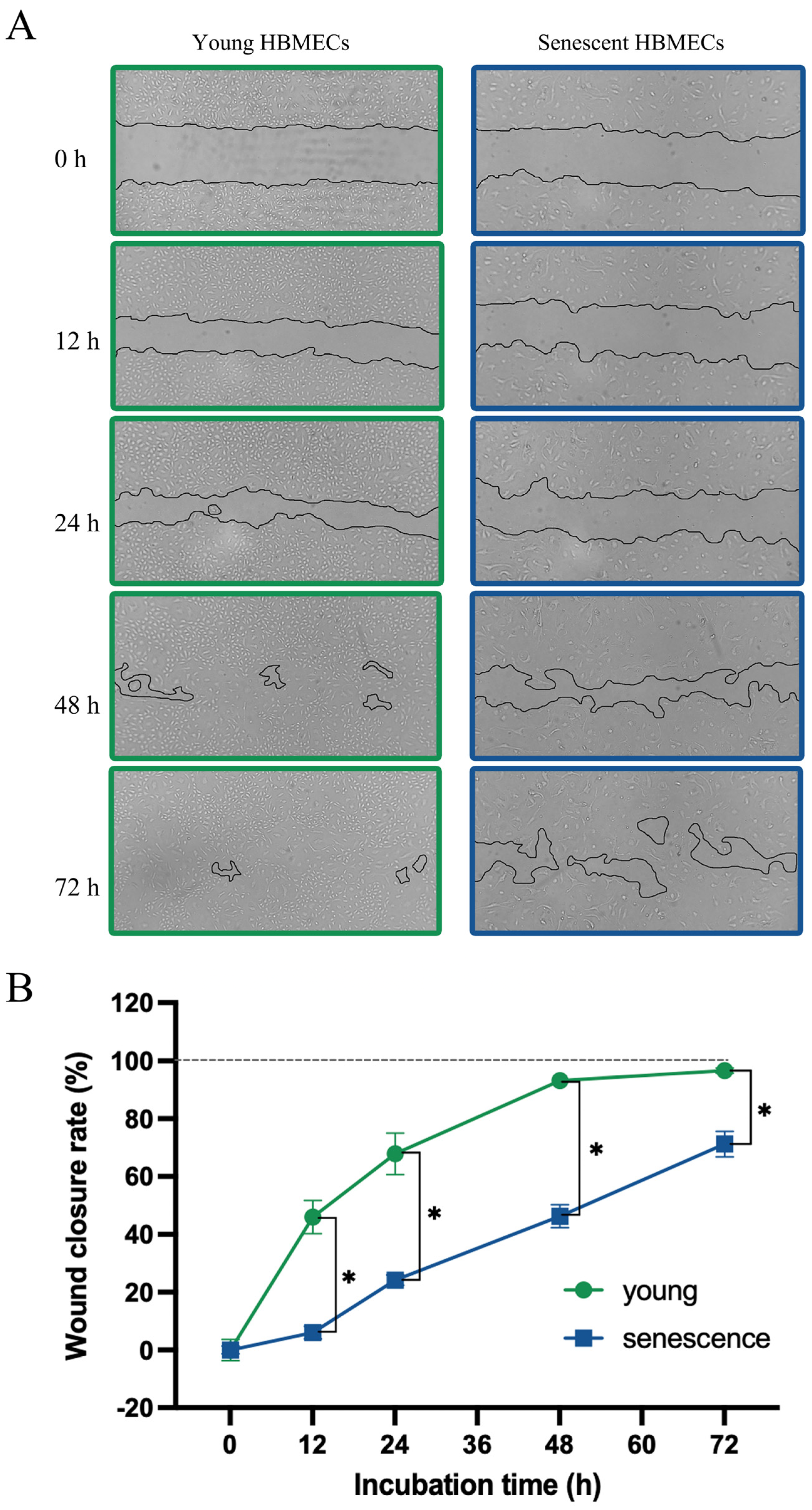 Biomolecules 14 01476 g003