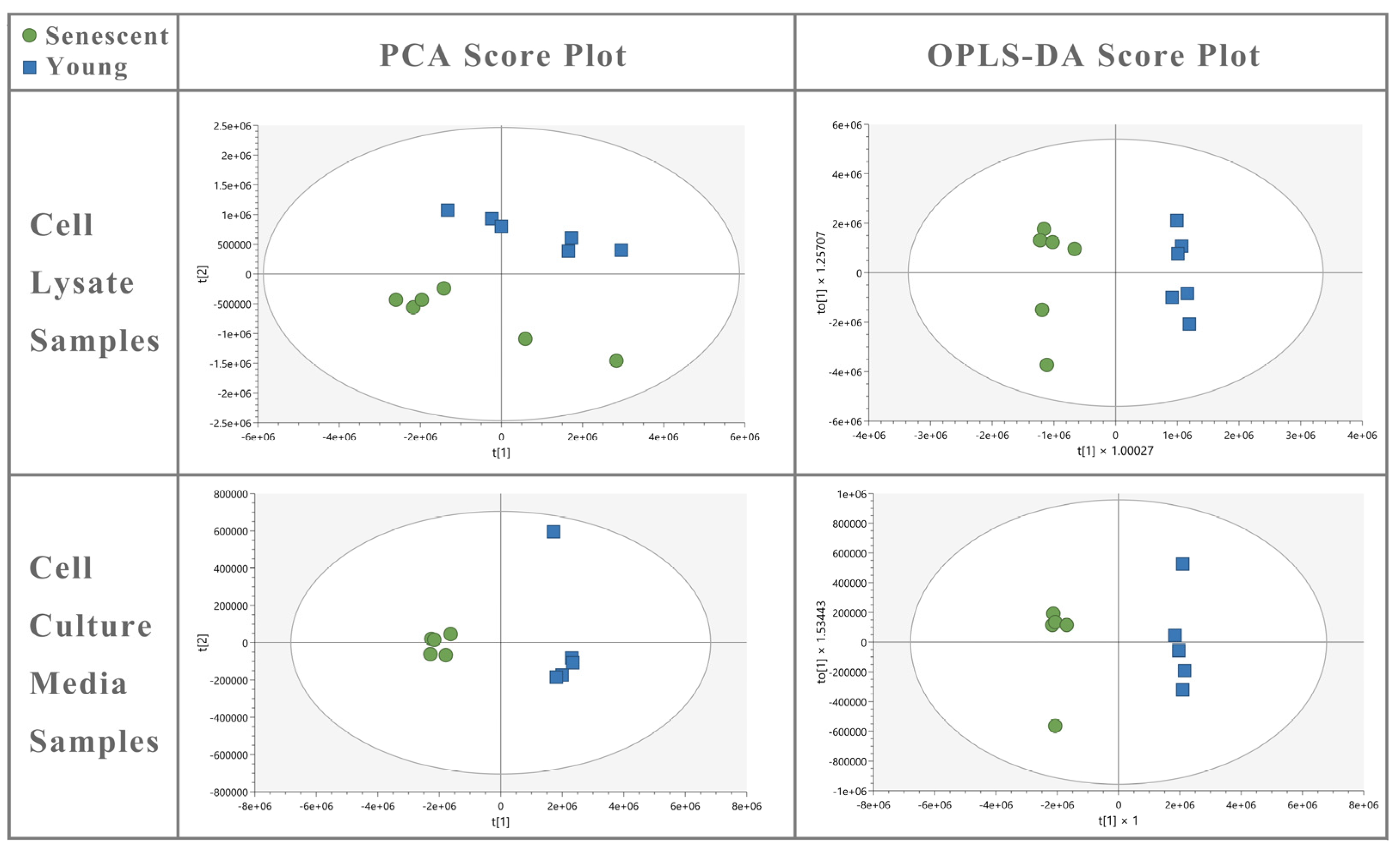Biomolecules 14 01476 g006