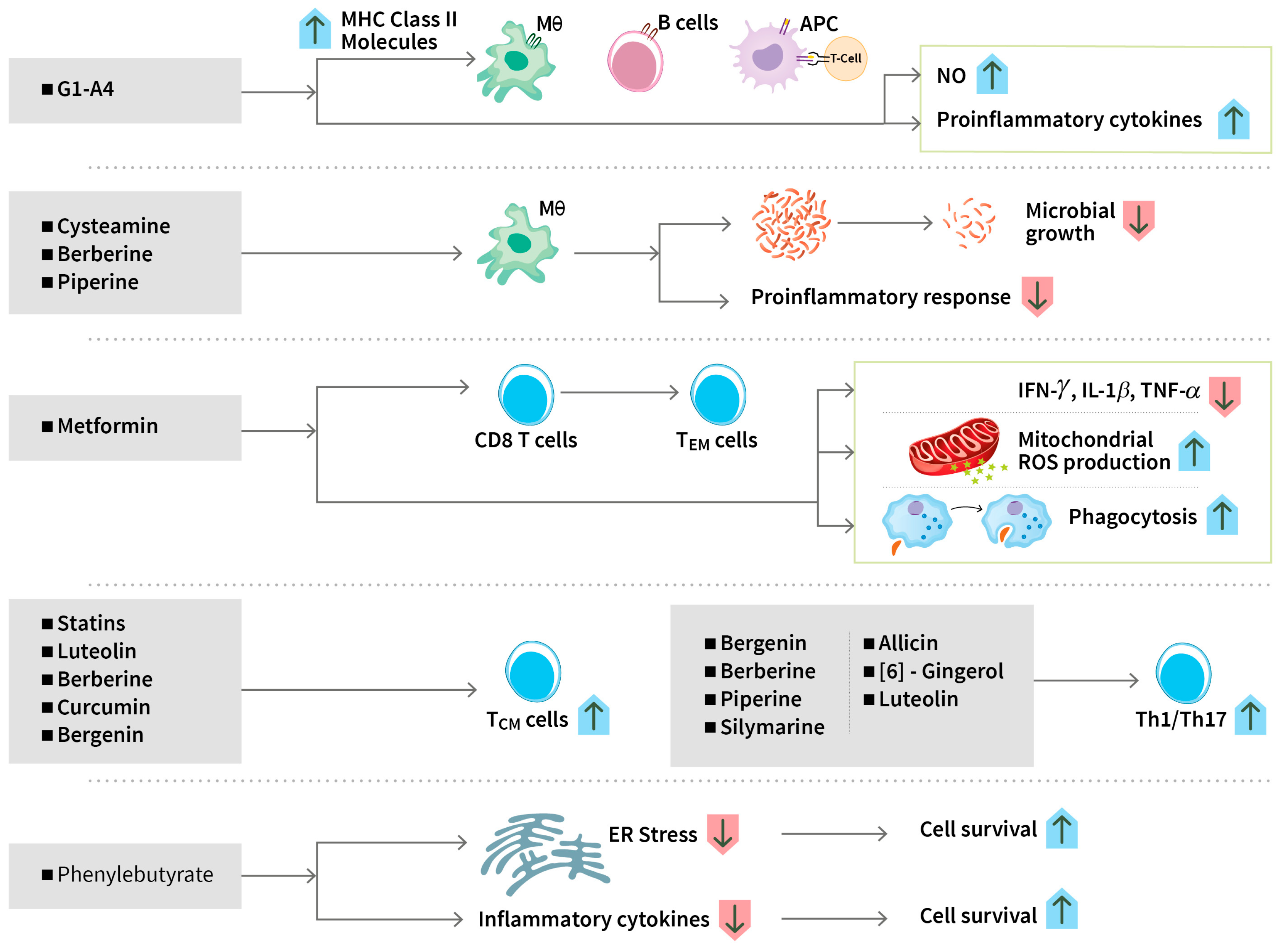 Biomolecules 14 01497 g003