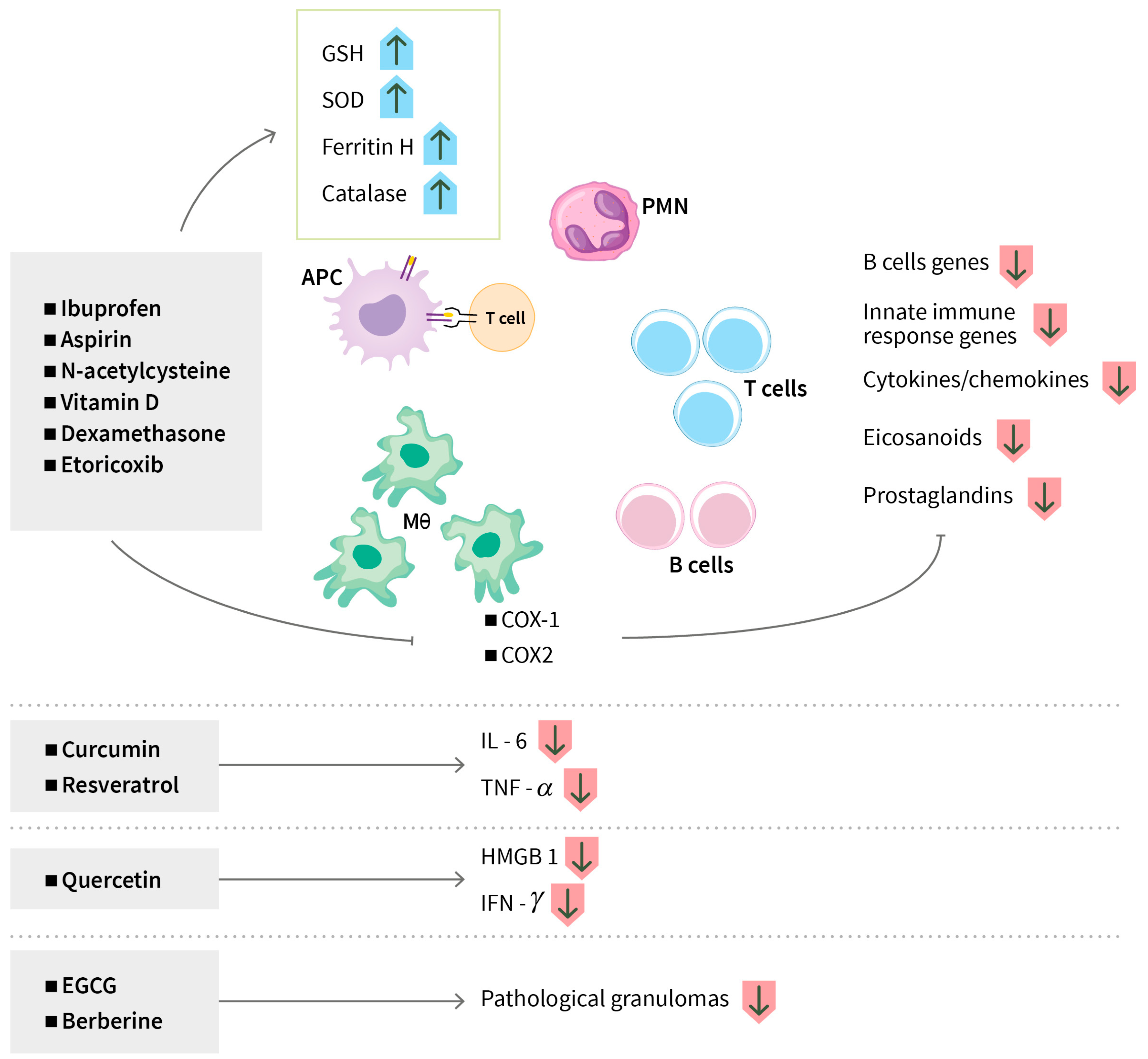 Biomolecules 14 01497 g004