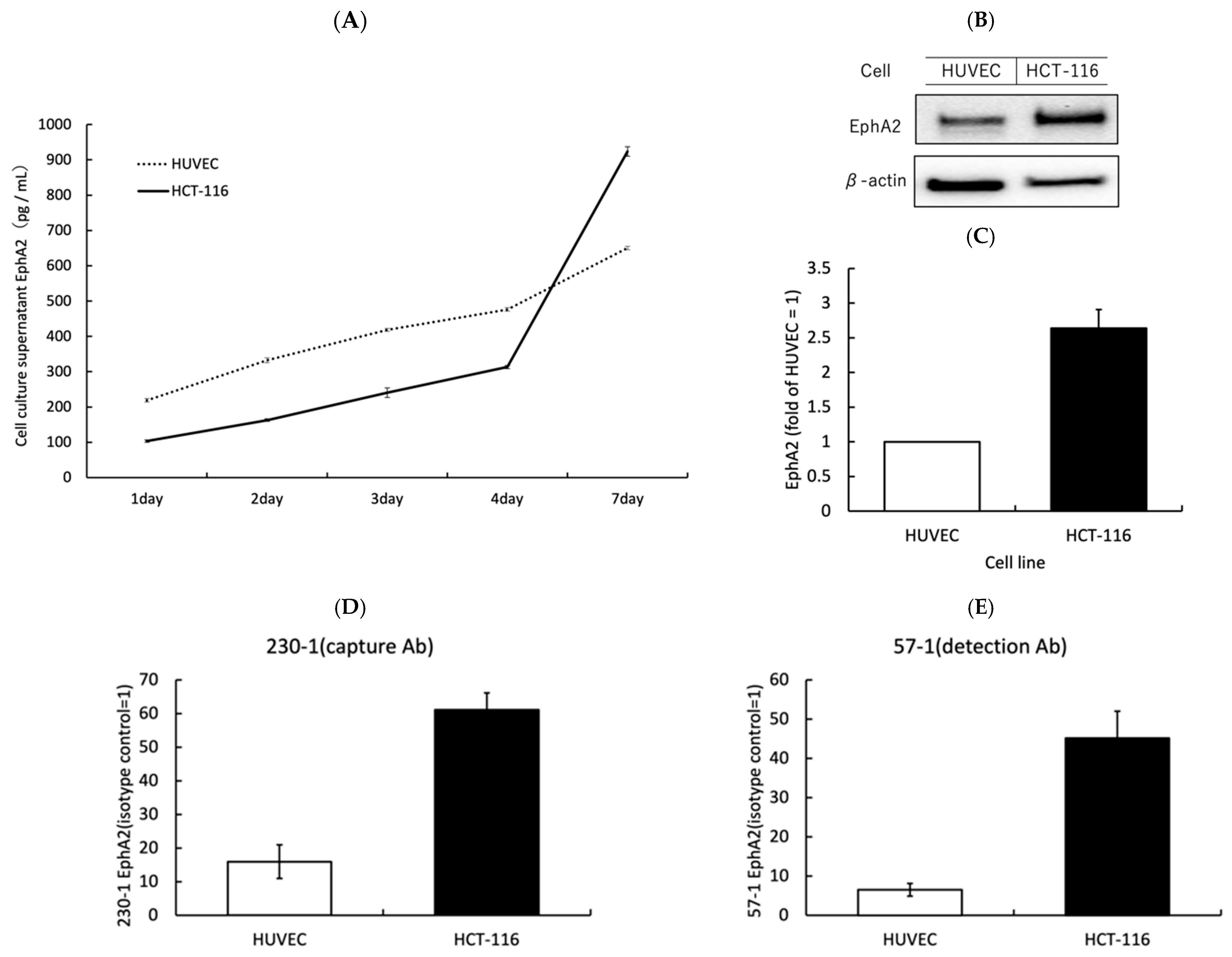 Biomolecules 14 01504 g001