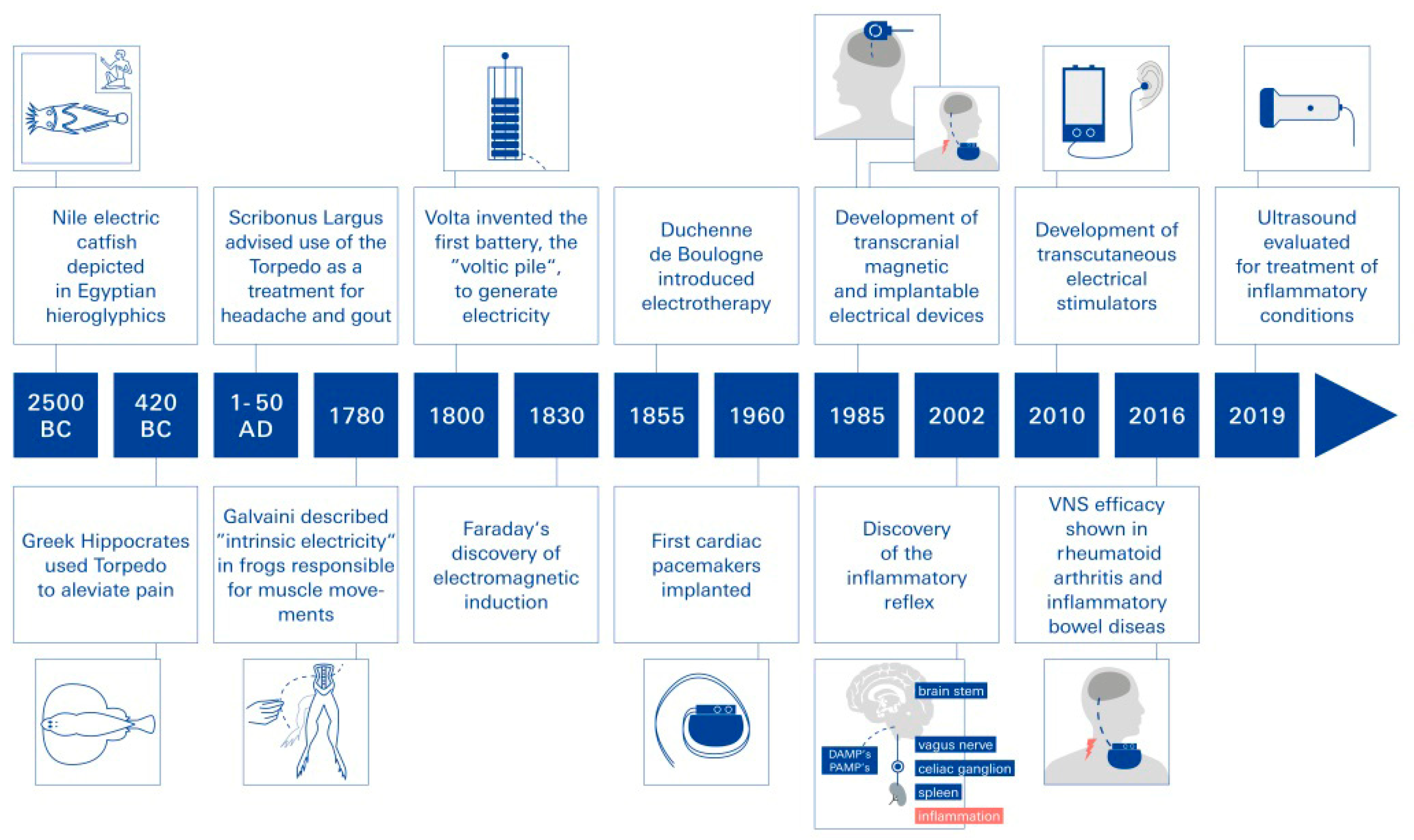 Biomolecules 14 01511 g001