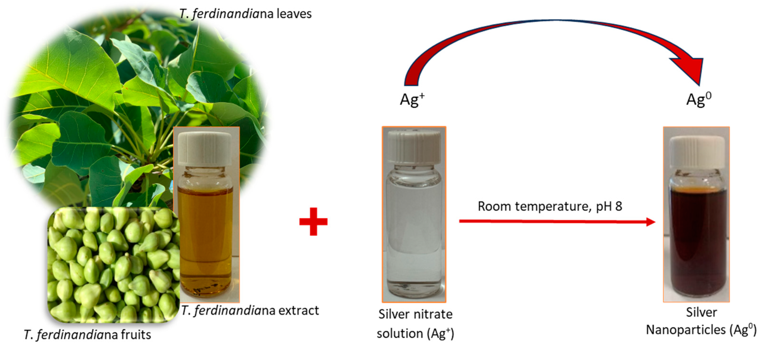 Biomolecules 14 01516 g002