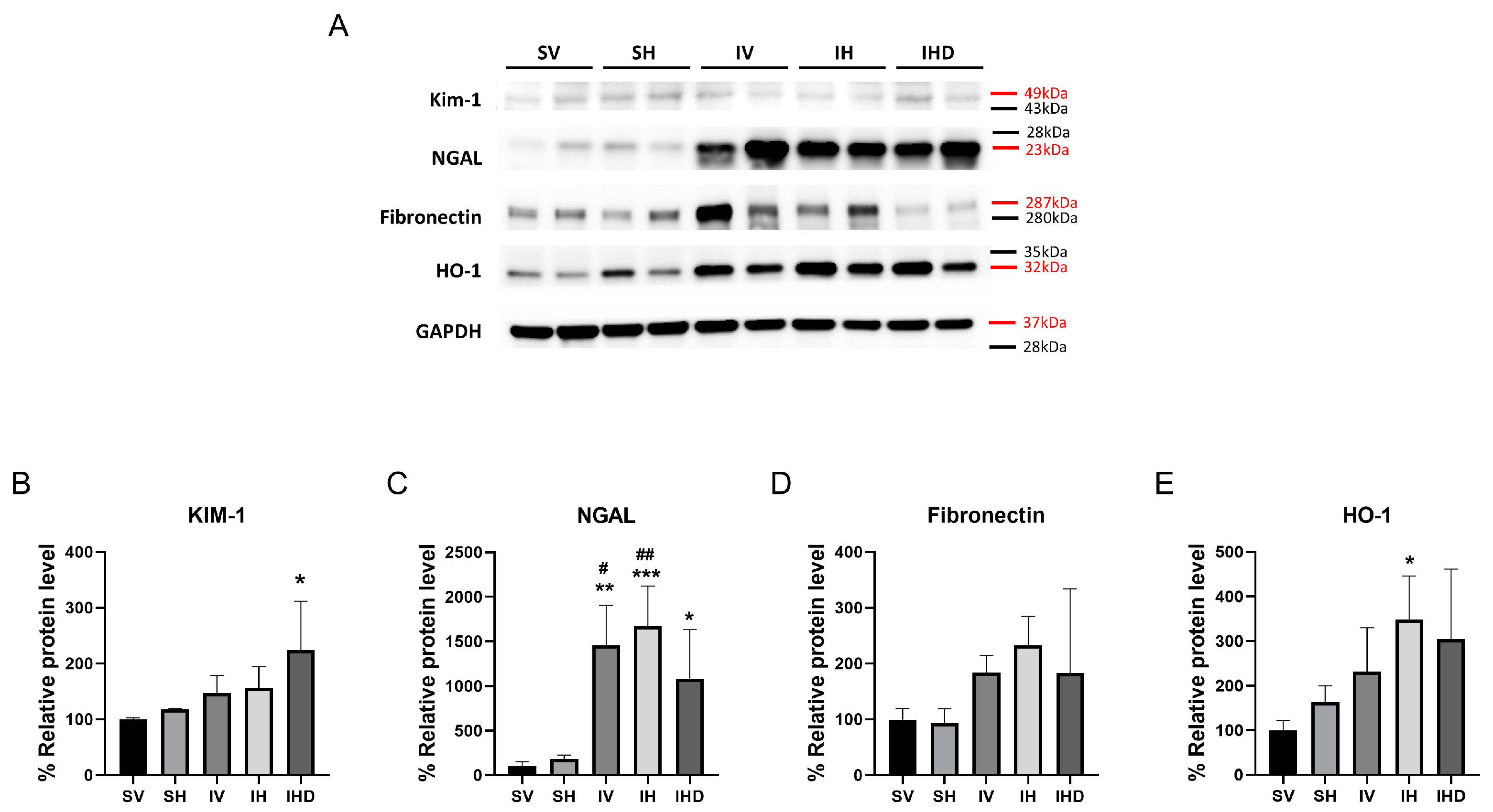 Biomolecules 14 01522 g002