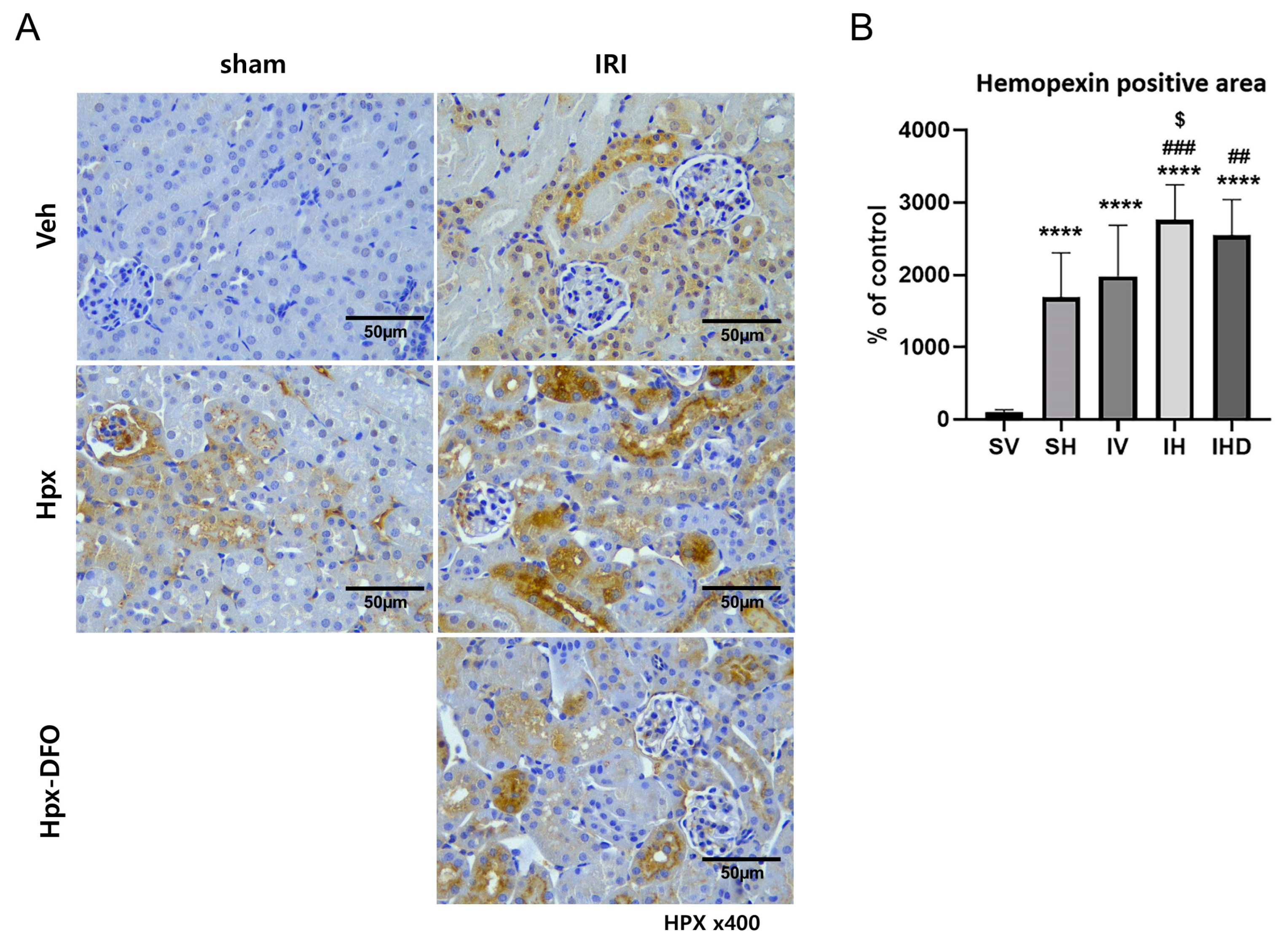 Biomolecules 14 01522 g005