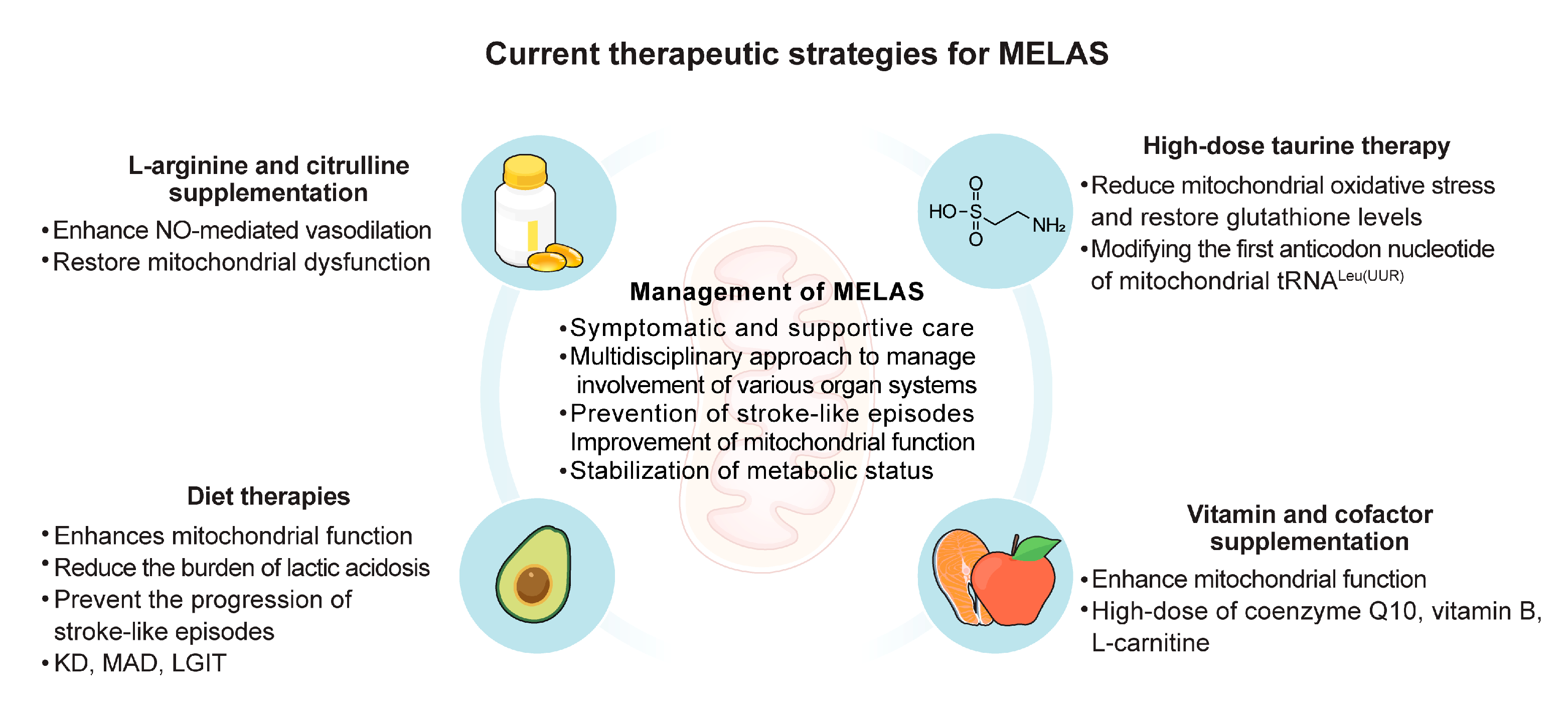 Biomolecules 14 01524 g002
