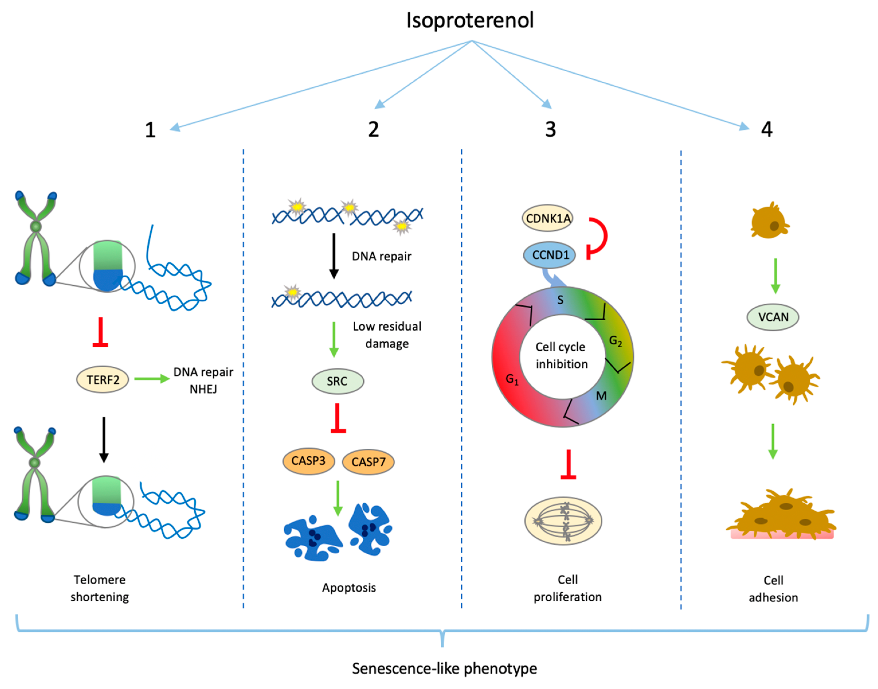 Biomolecules 14 01528 g008