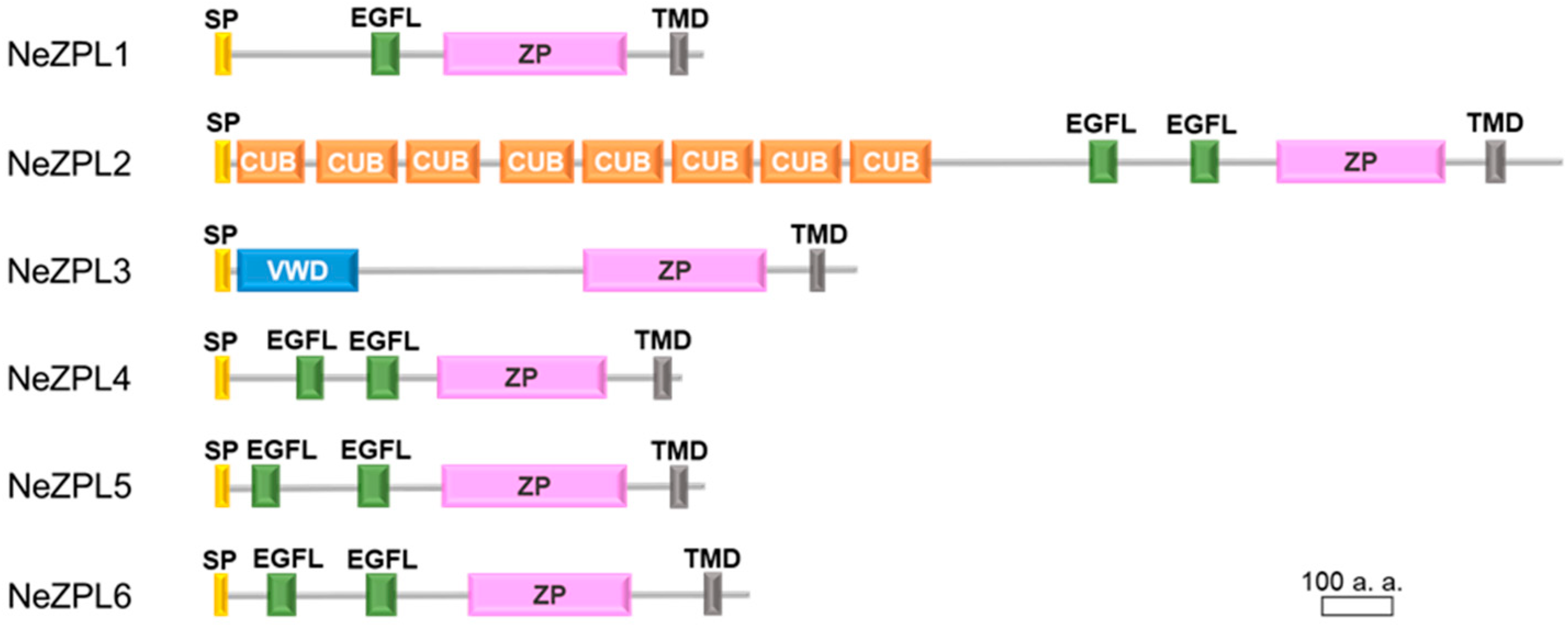 Biomolecules 14 01545 g002 Biomolecules 14 01545 g002
