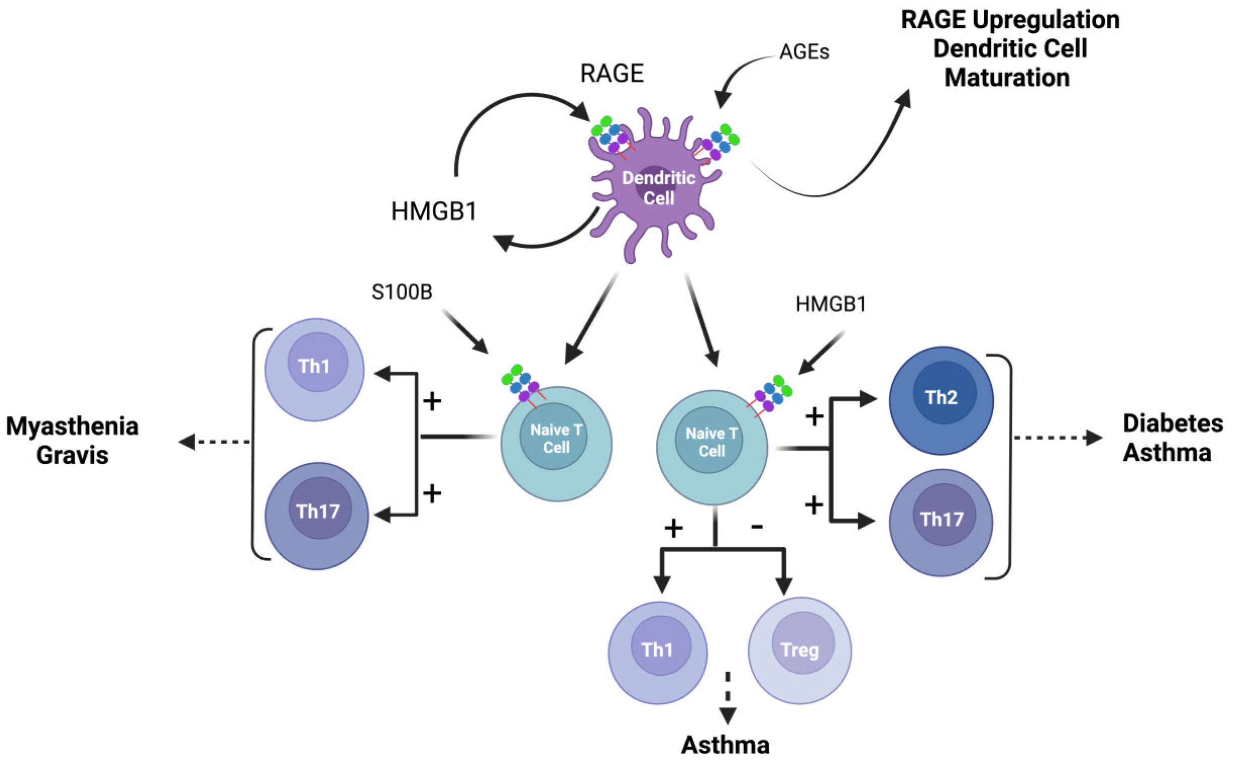 Biomolecules 14 01550 g003