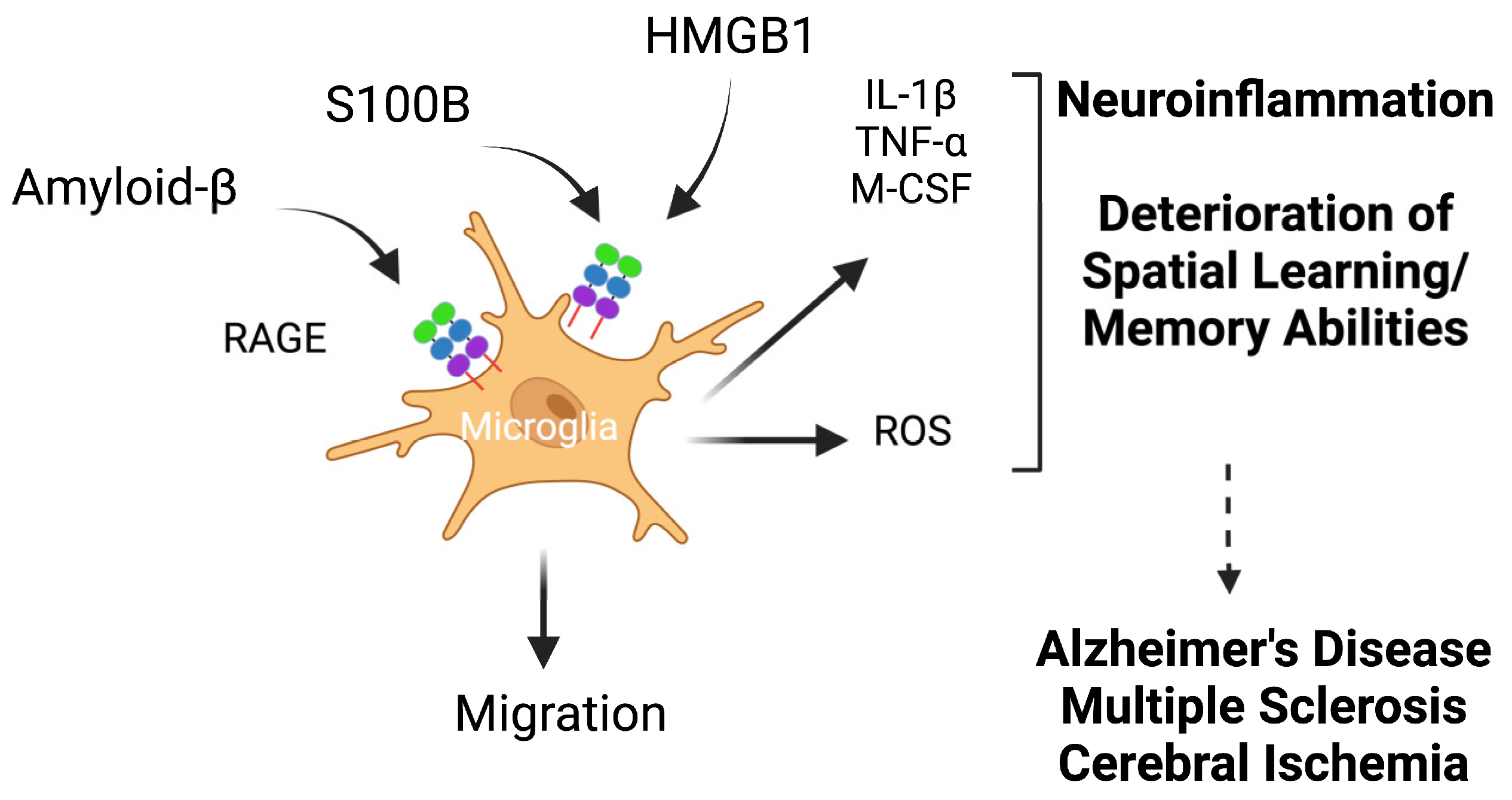 Biomolecules 14 01550 g005